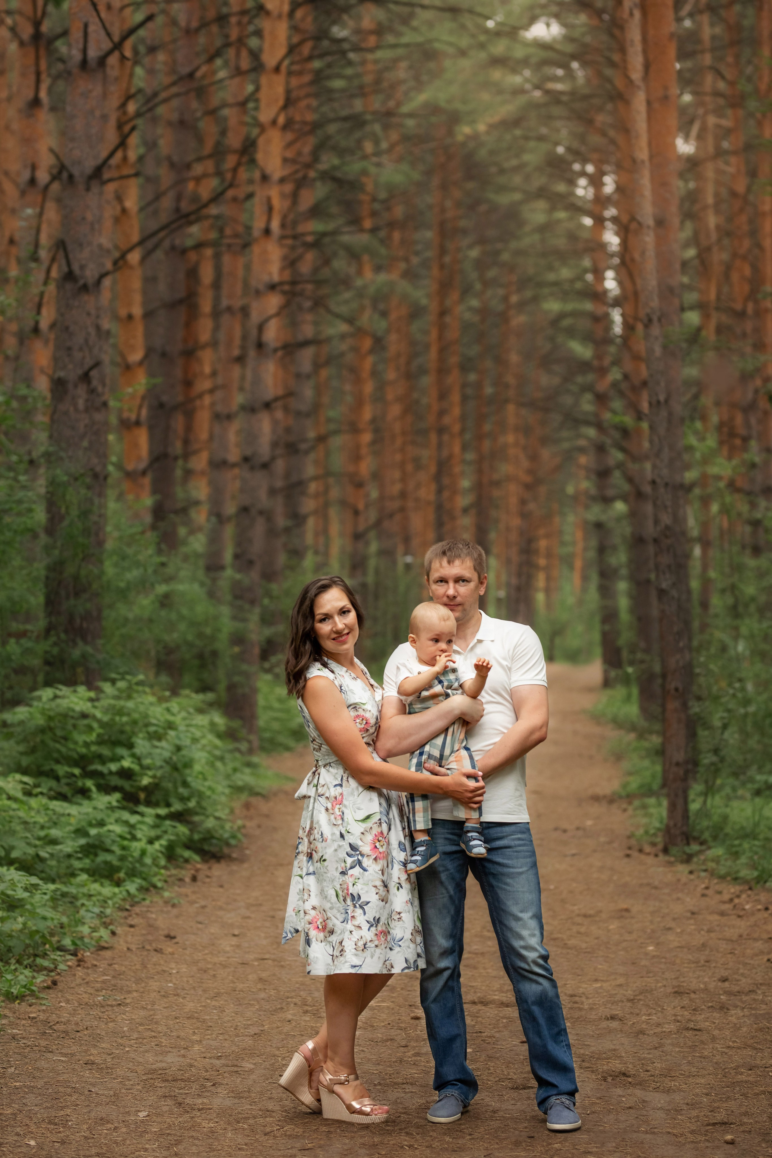 Сосны. Сайт