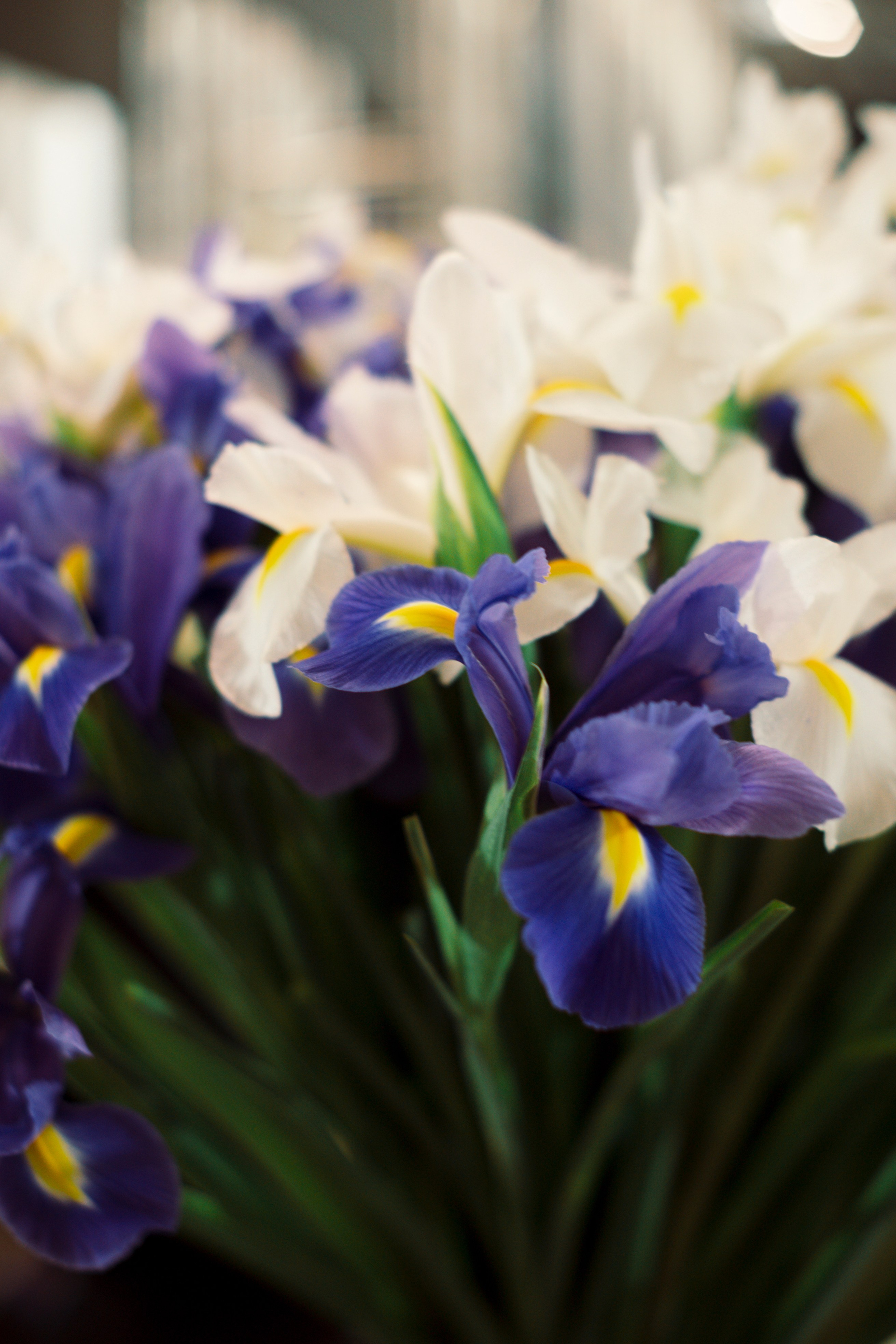 Fashion Week 2025. Свадебный фотограф в Москве Кристина Чехова