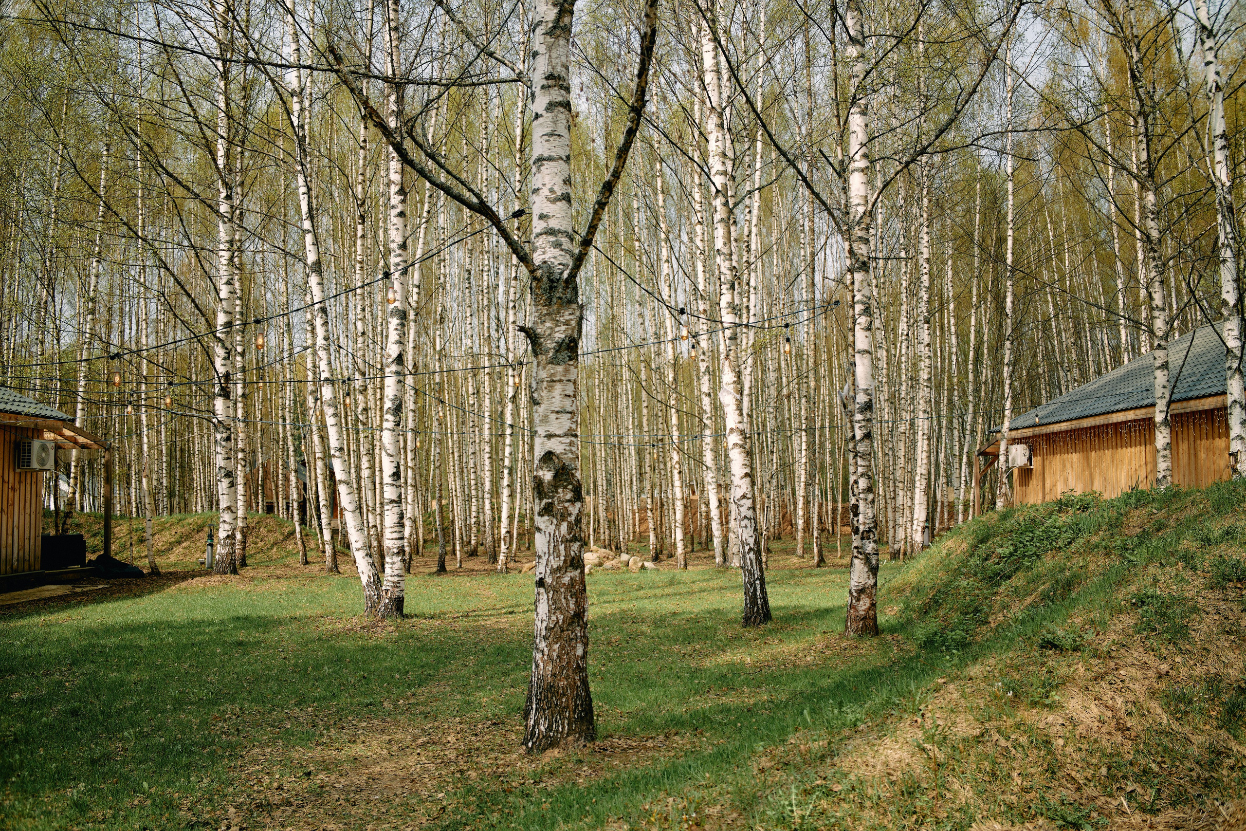 Бутик-отель Поле летом. Профессиональный Фотограф во Владимире, в Москве и в Суздале — Полина Романычева