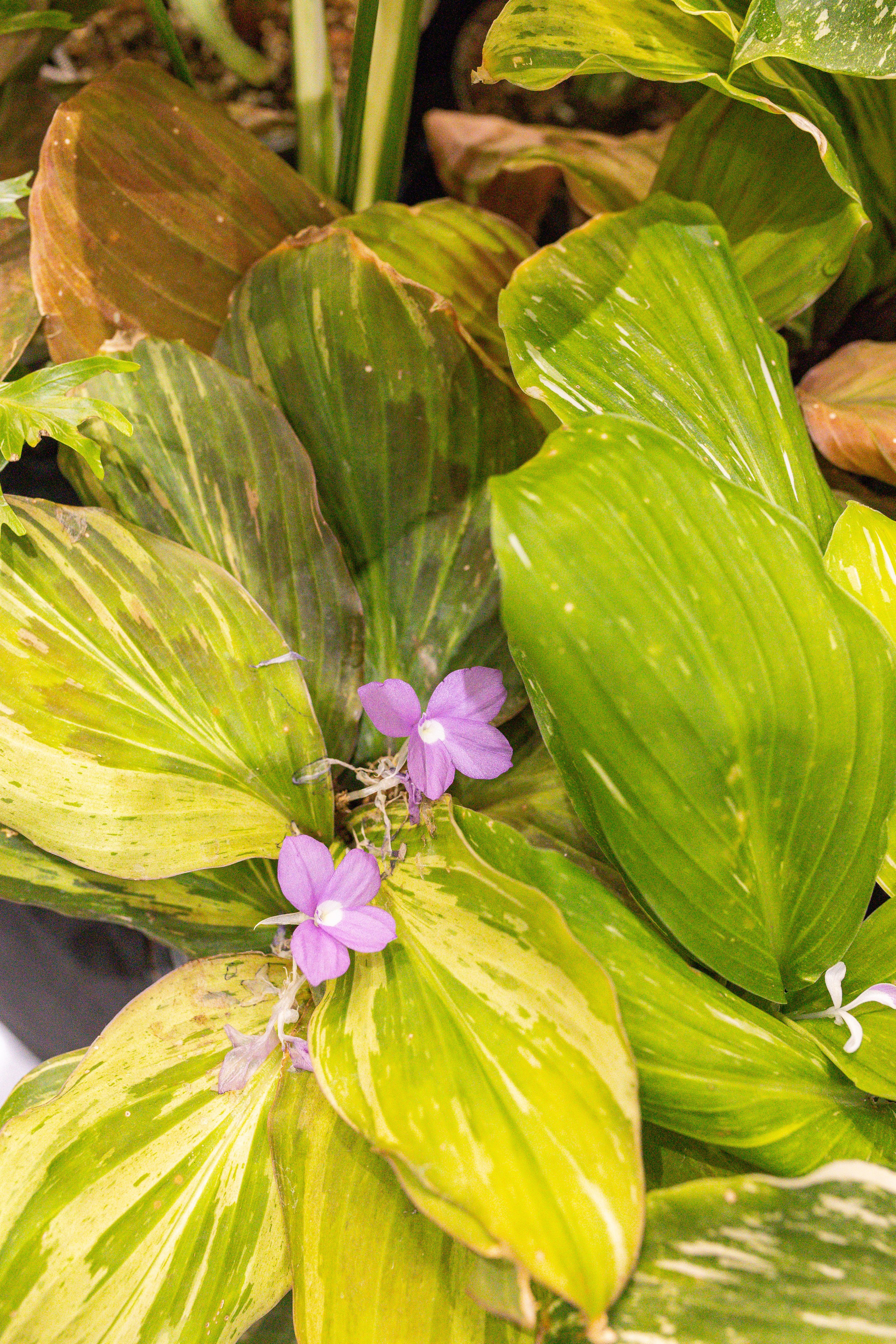 Монстериум 11–12 октября. Александра Куликова фотограф, Москва