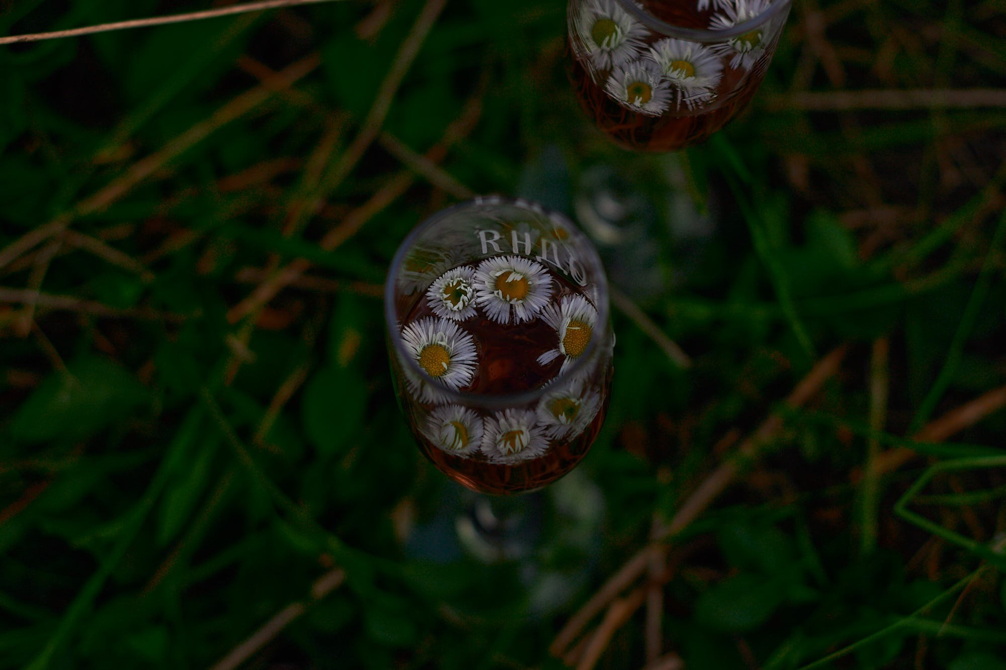 Фотосессия в ромашковом поле Лиля. Семейный и свадебный фотограф в Краснодаре Михеева Светлана