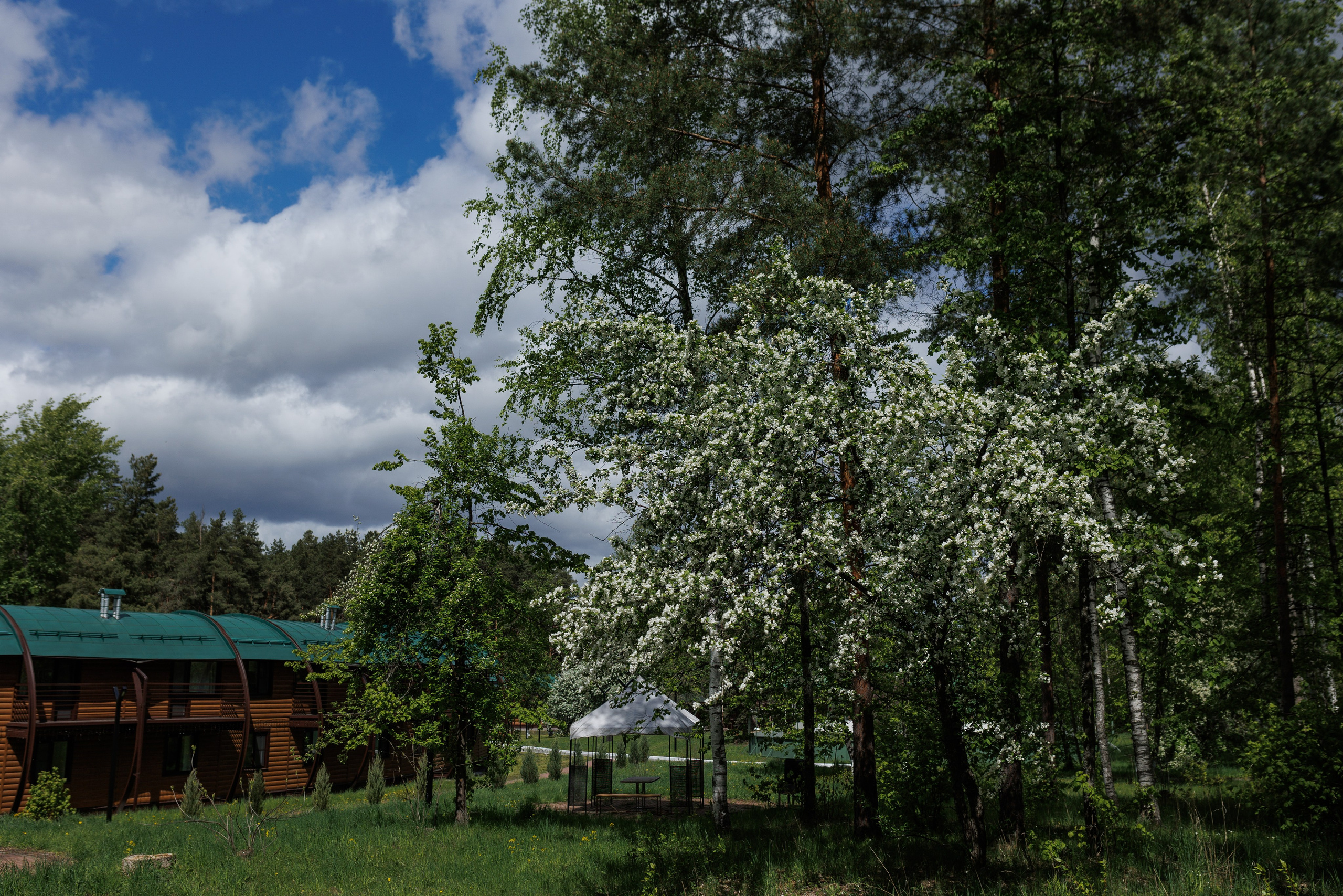 База отдыха «Металлург». Фотограф городских и семейных событий в Нижнем Новгороде Артем Карпухин