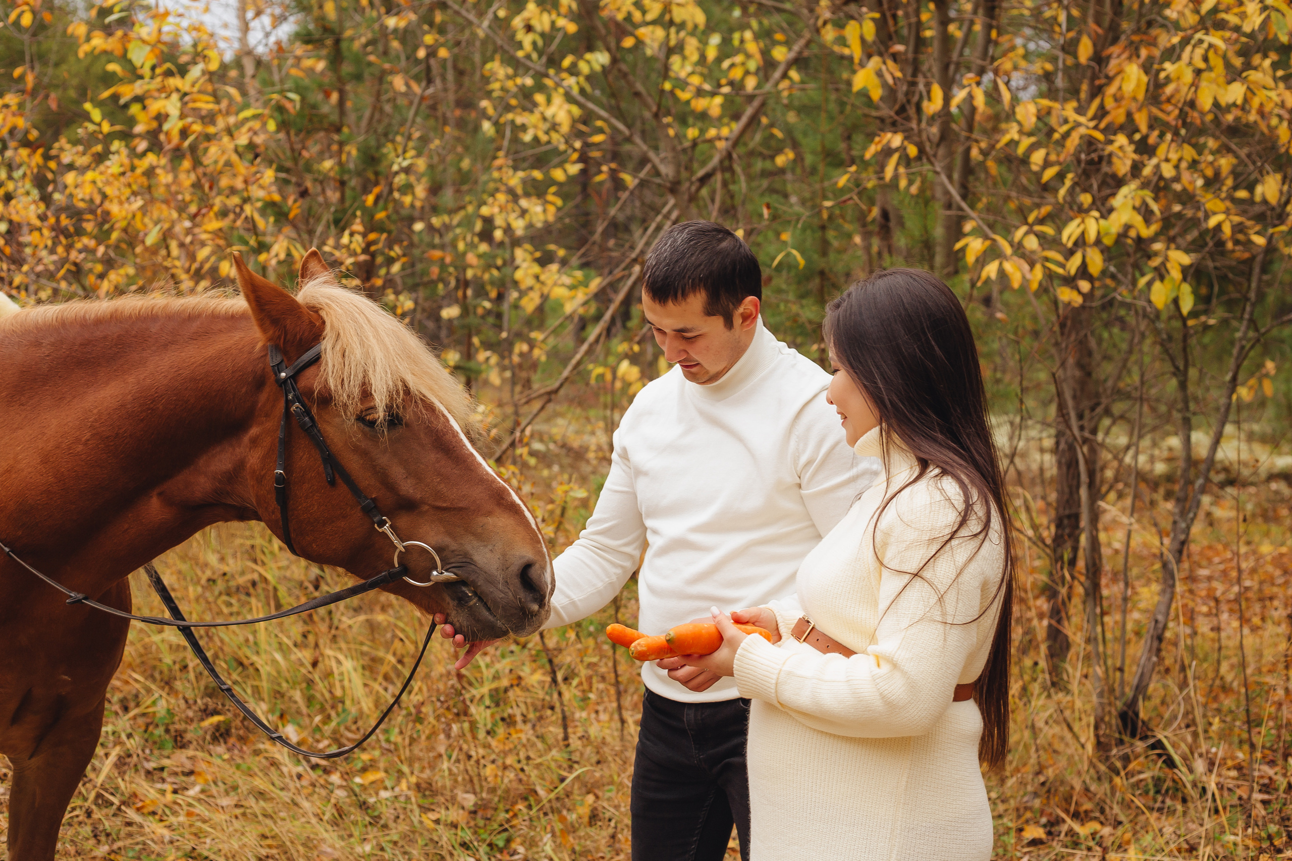 Прогулка с лошадью. Фотограф Мария Новоселова. Сургут