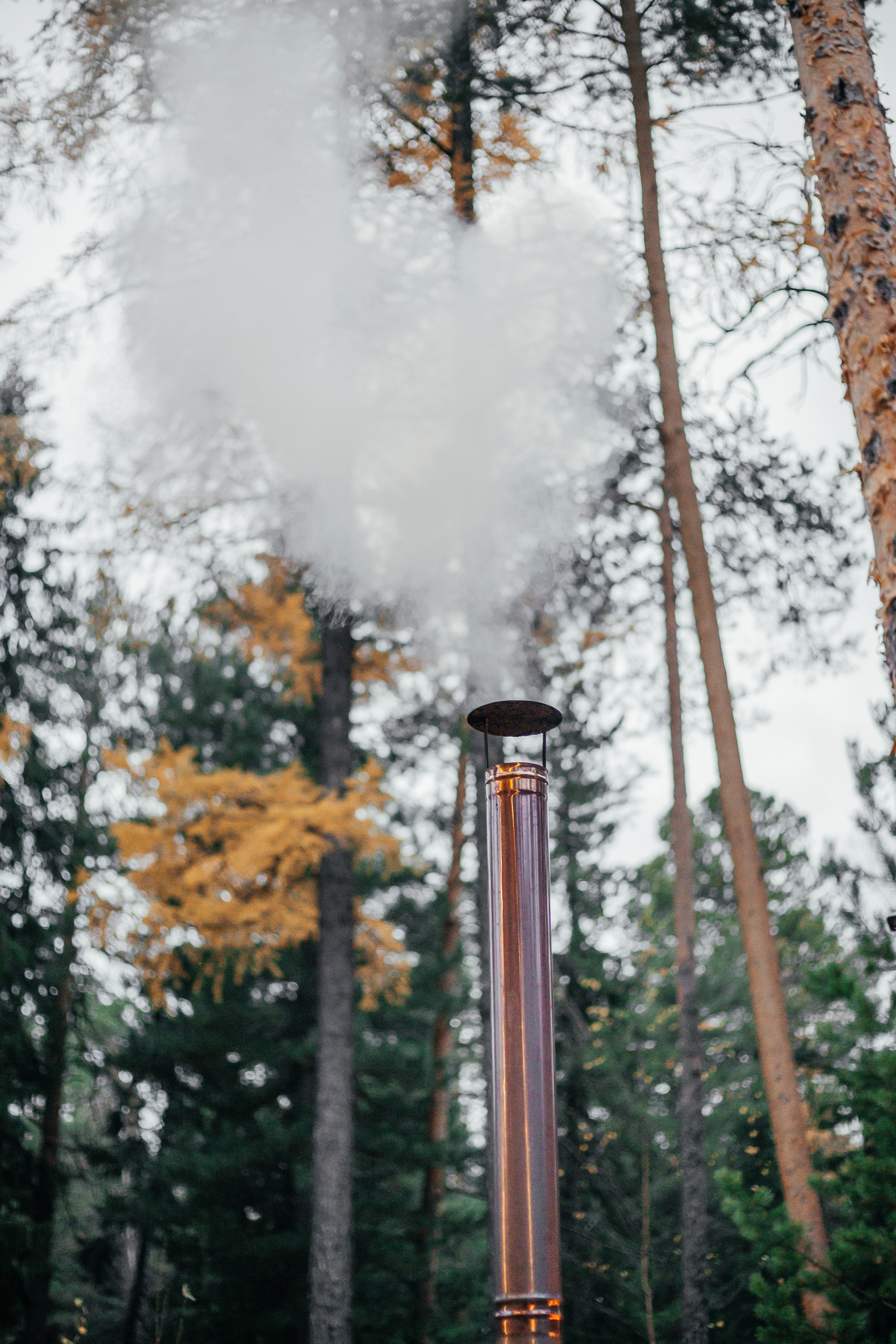 Юбилей. Дом отдыха Лес. Фотограф Мария Новоселова. Сургут