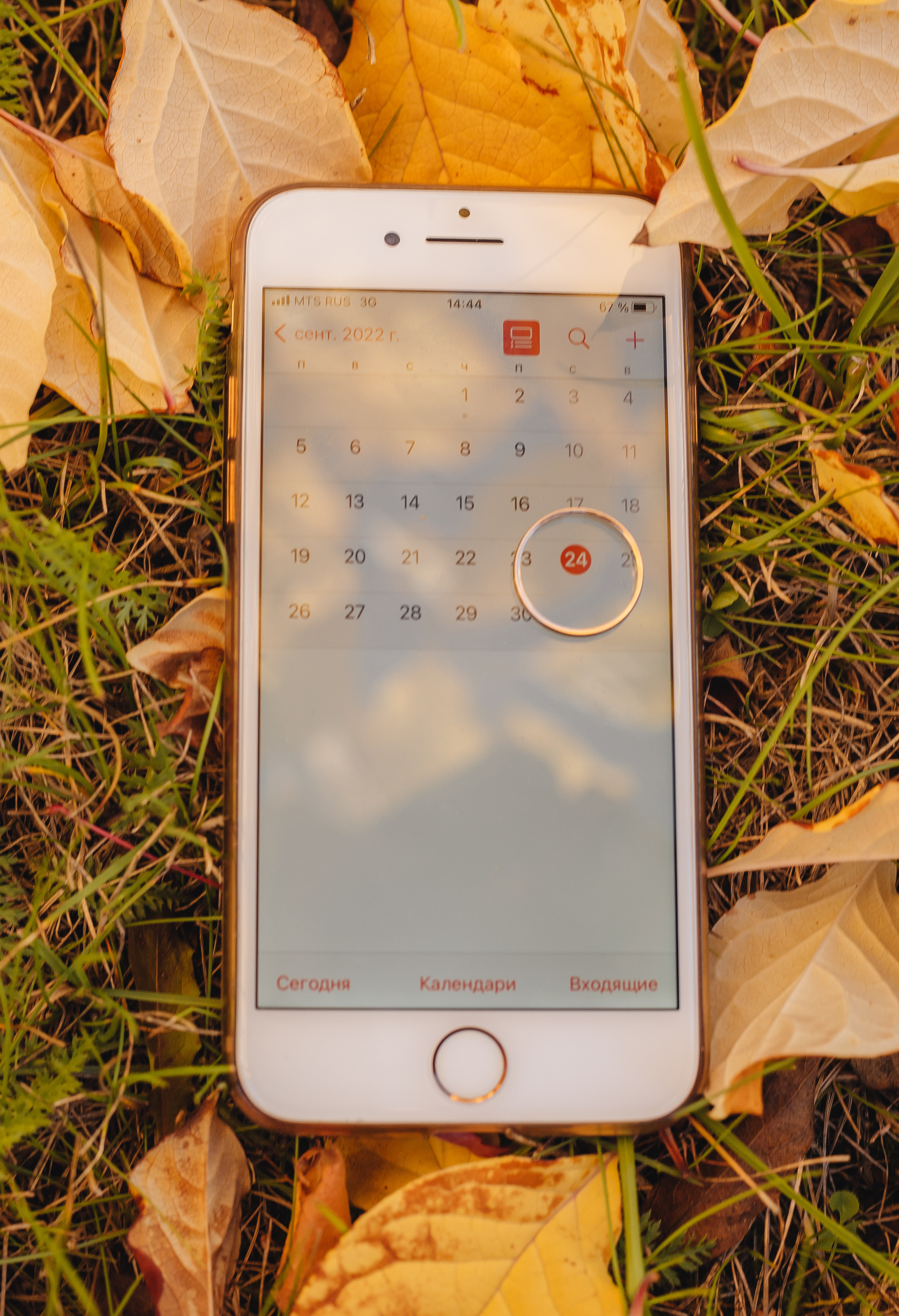 Максим и Татьяна. Загс и прогулка. Фотограф Мария Новоселова. Сургут