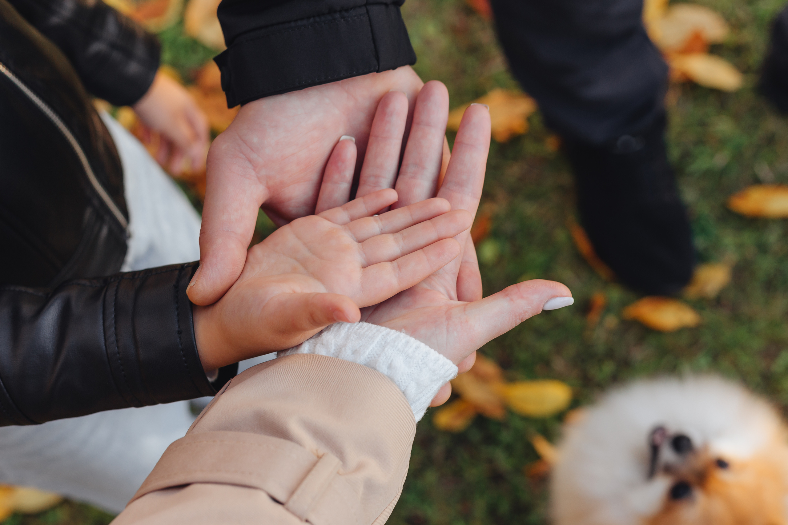 Прогулка в парке. В ожидании🤰. Фотограф Мария Новоселова. Сургут