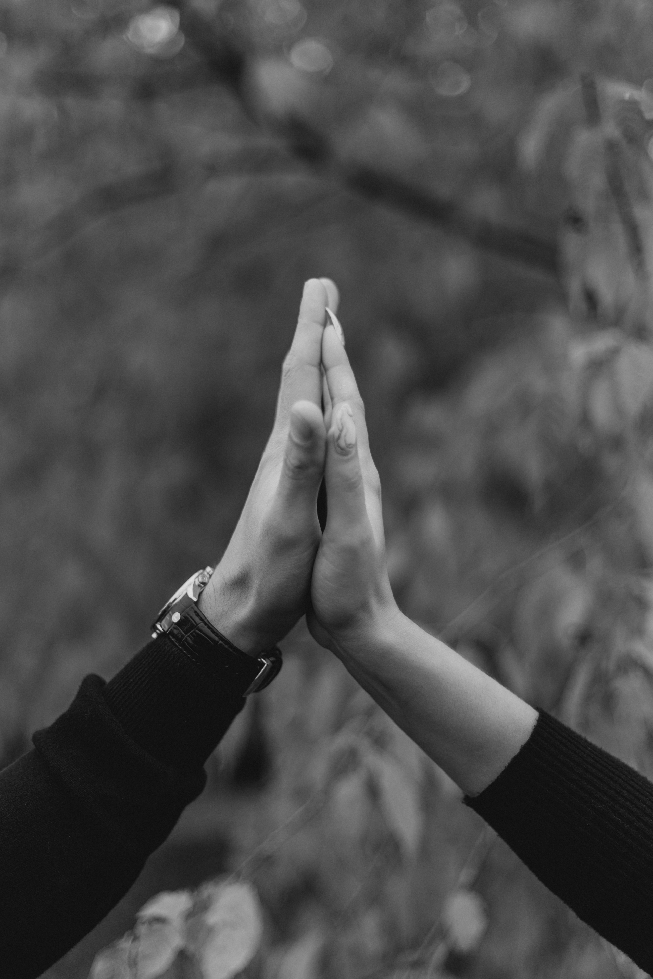 Сайма. Фотограф Мария Новоселова. Сургут