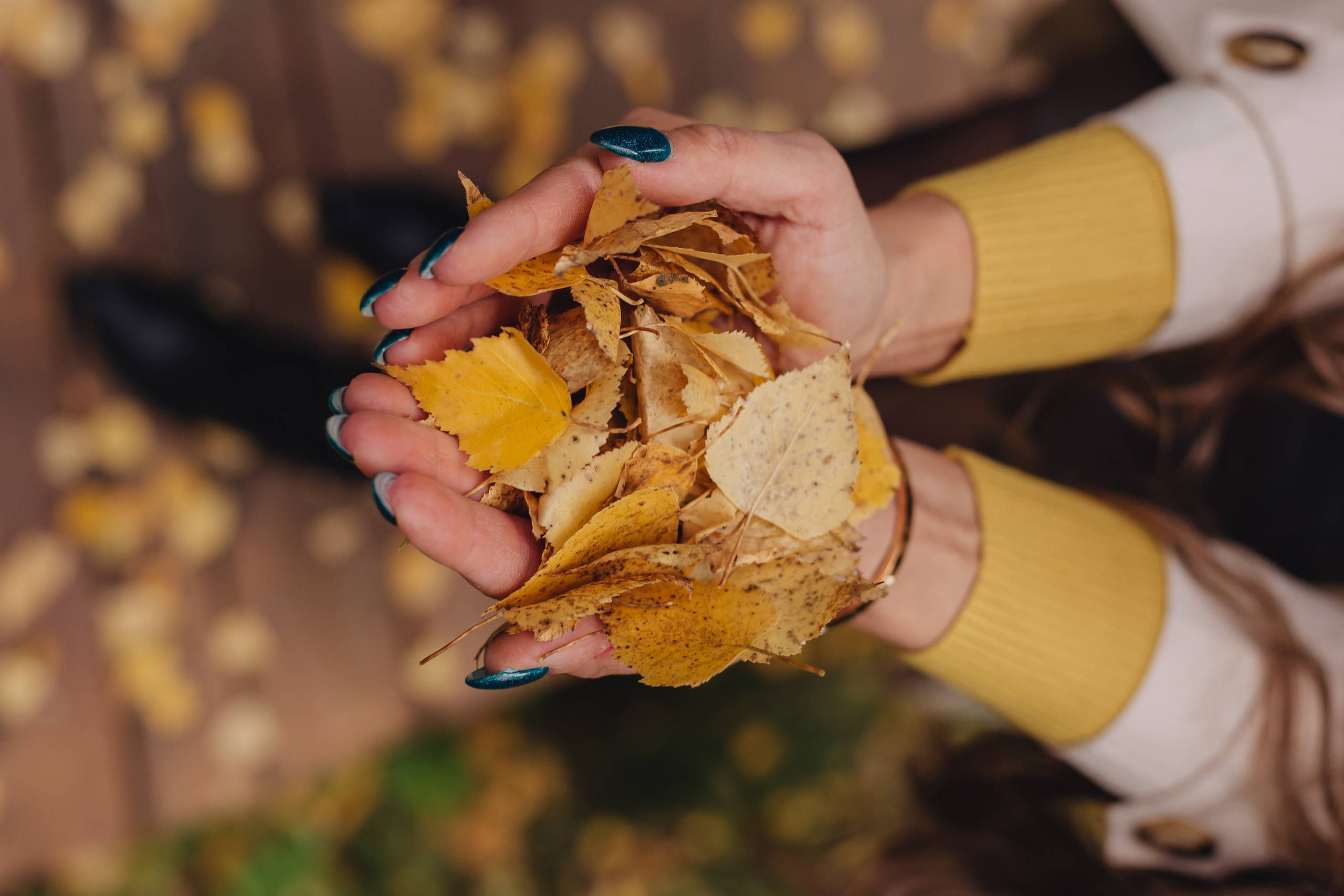 Осень. Лес. Фотограф Мария Новоселова. Сургут