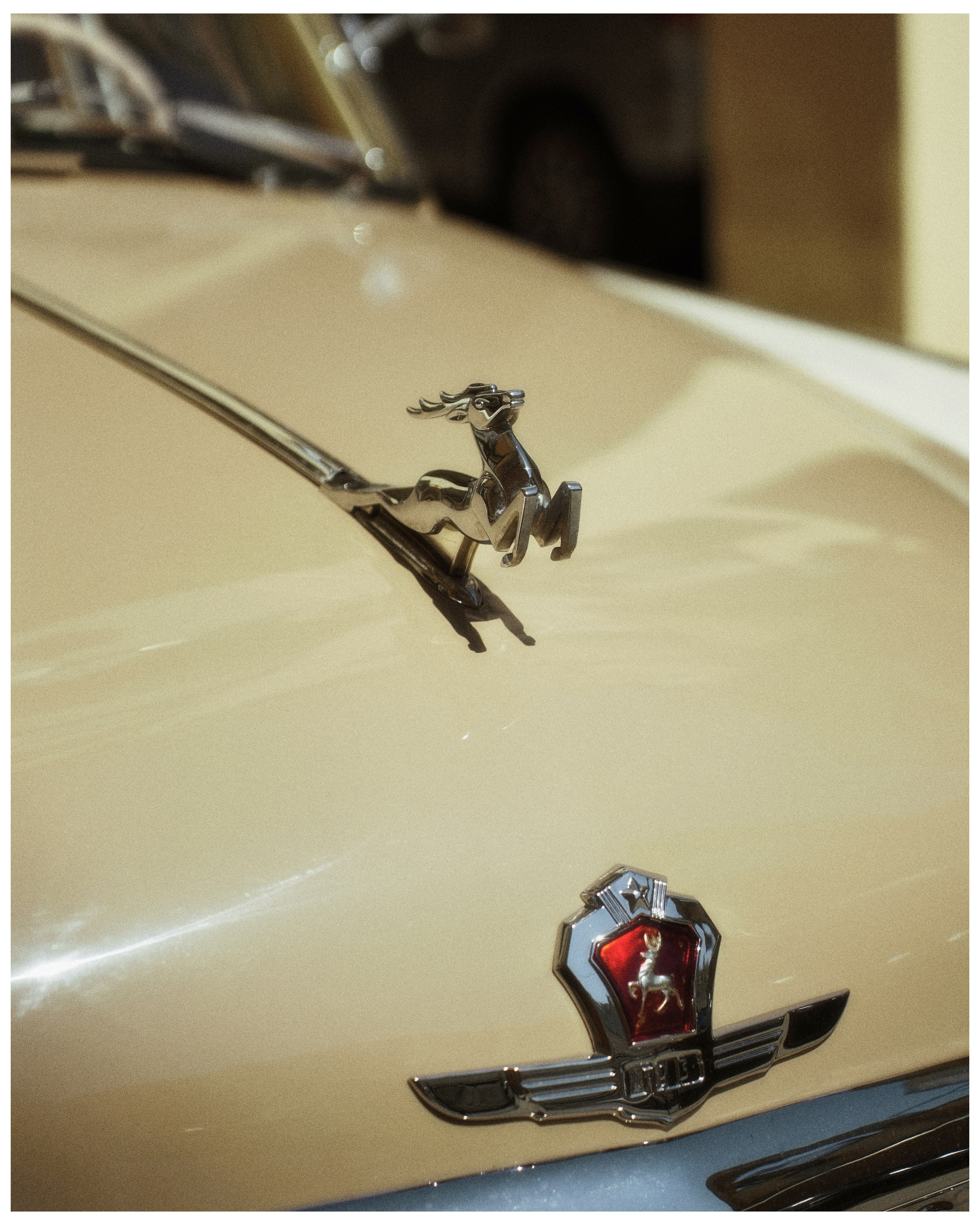 CARS. ANNA — PHOTOGRAPHER