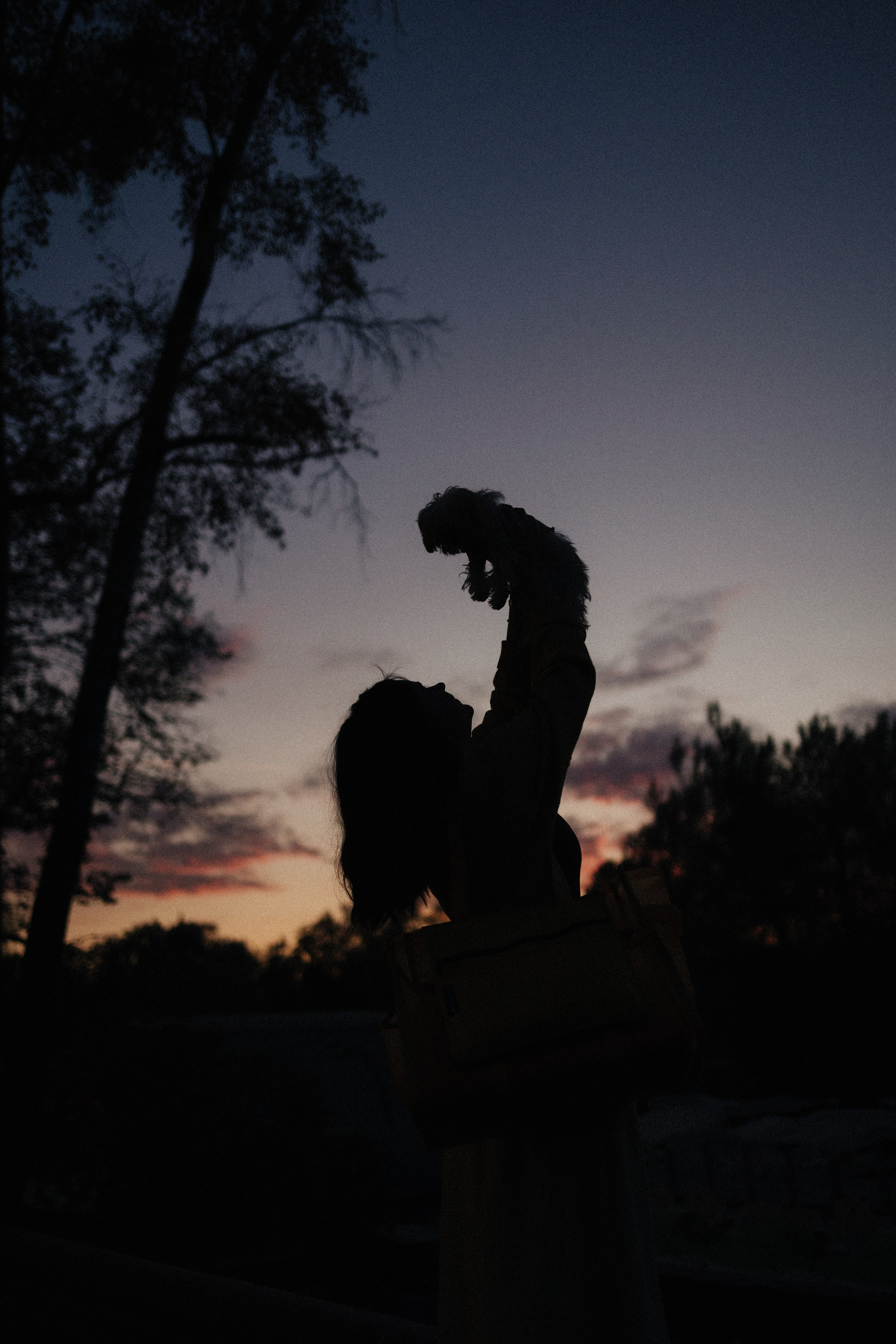 Оля и Бри. Фотораф — анималист Мария Шистка