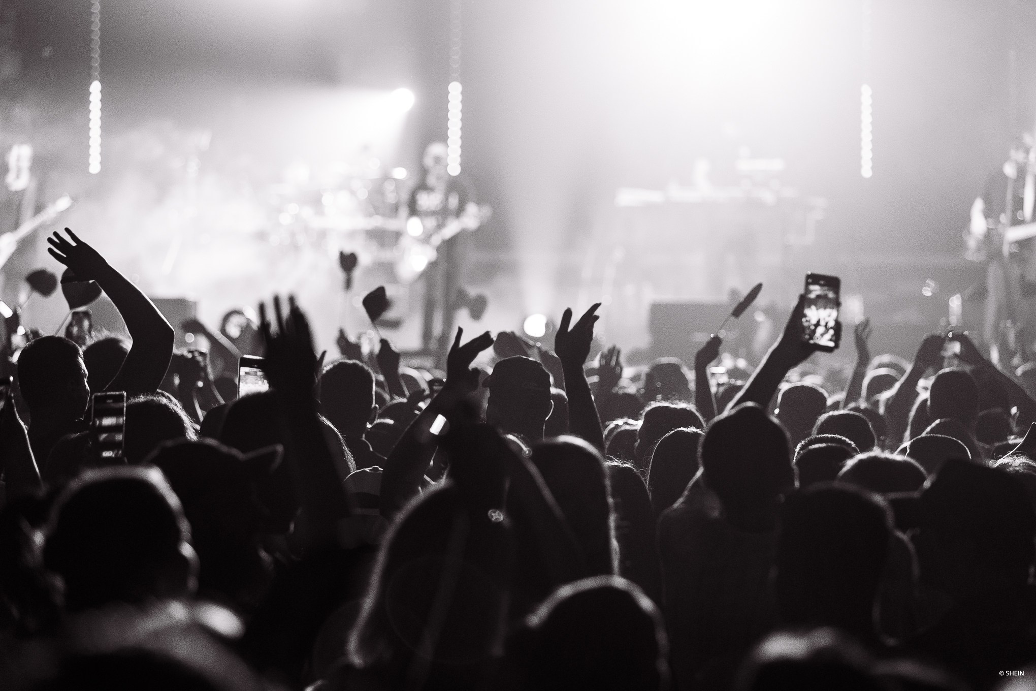 Концертная фотосъёмка музыкальной группы «Звери». Фотограф в Астрахани Евгений Шеин