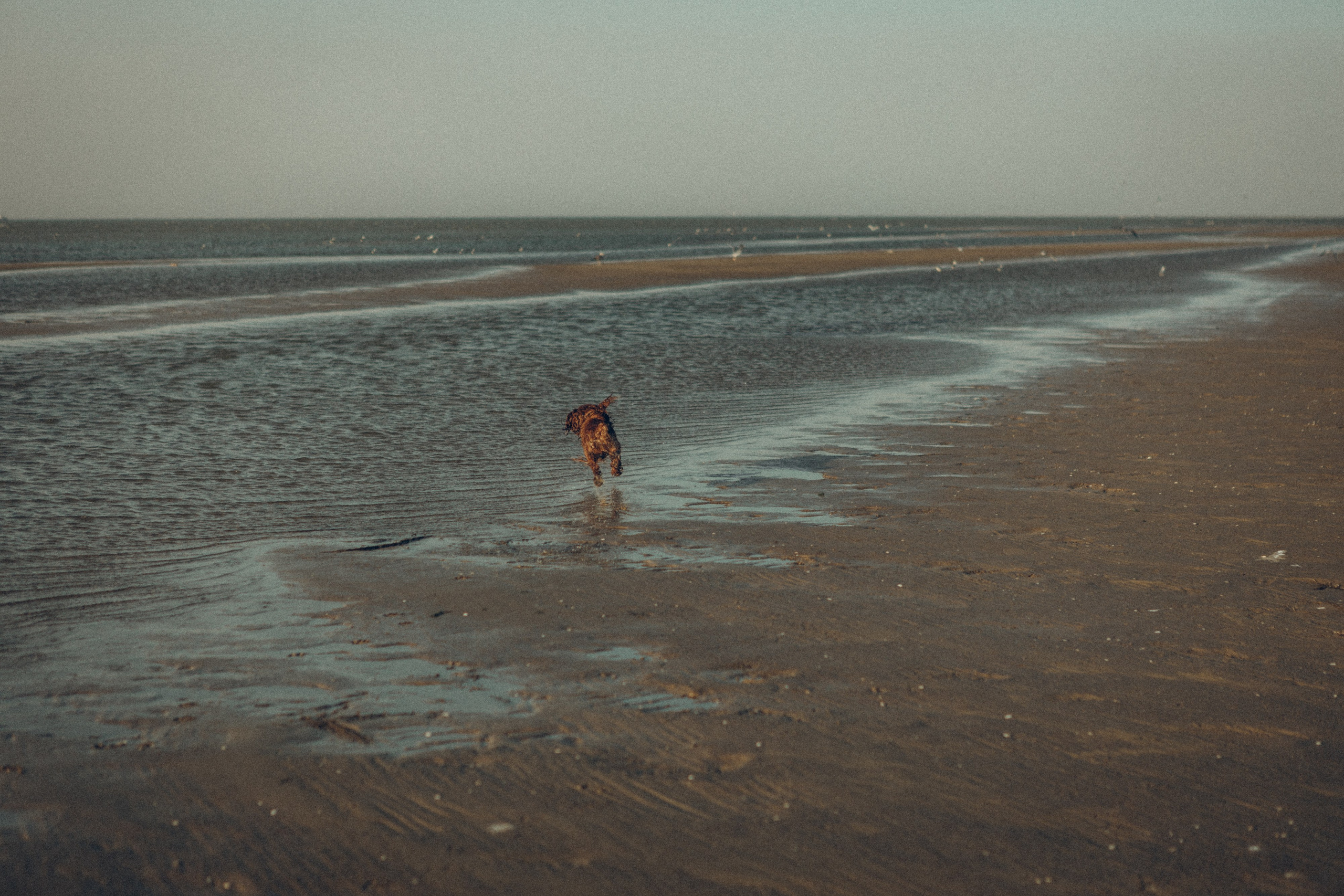 Family moment 💫. Семейный фотограф и фотограф на роды в Ростове-на-Дону Мухина Виктория