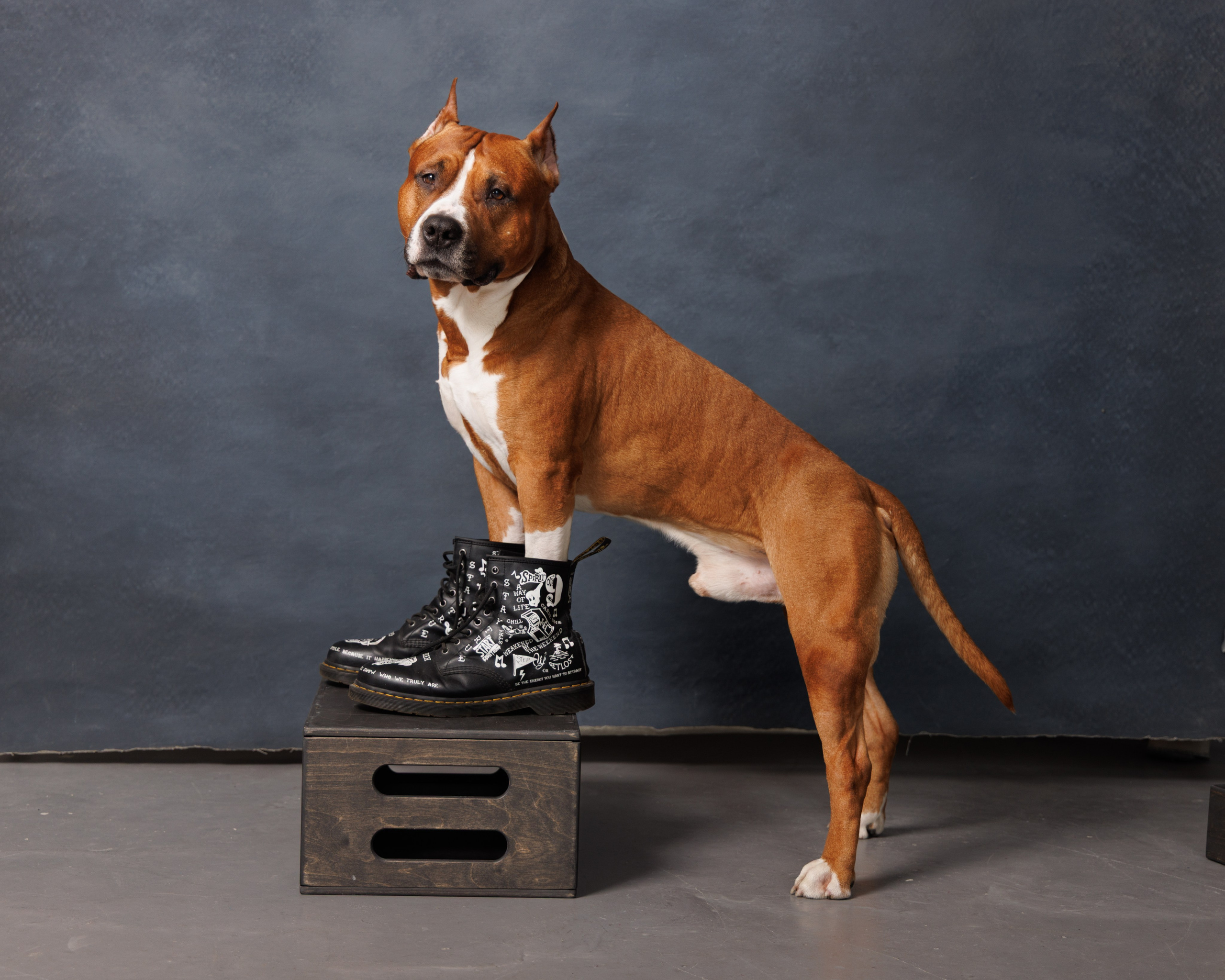 Кирилл, Никита и Буч. Фотограф в Ростове-на-Дону