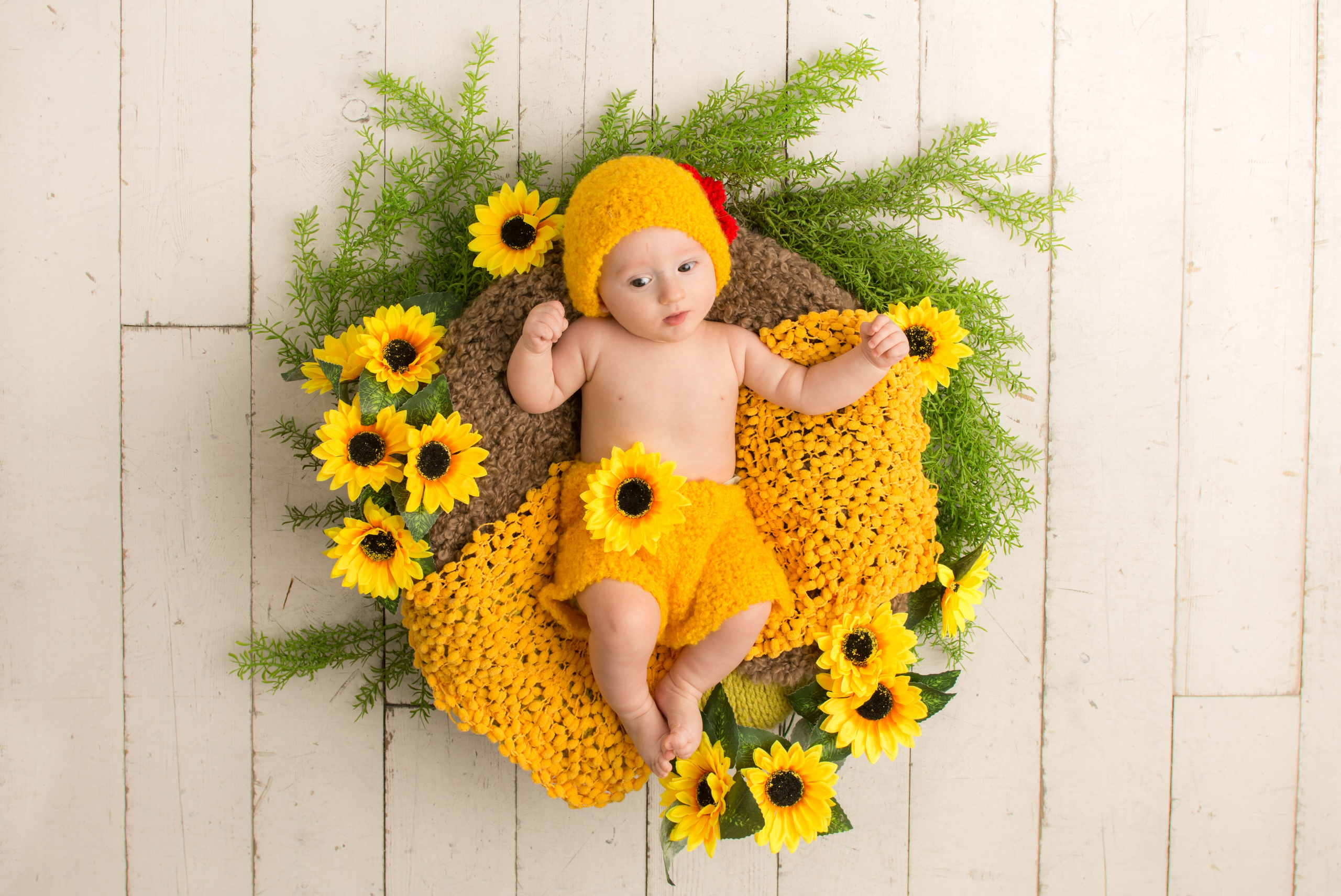 Семейная съемка с новорожденным. Зал Люмен. Фотосессия беременности — Крылова Натали — Москва