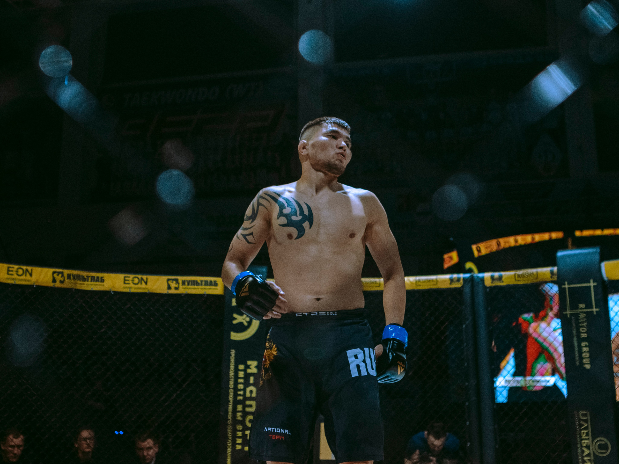 SFL 17 | Siberian Fighting League. Портретный фотограф в Москве Дарья Цезария