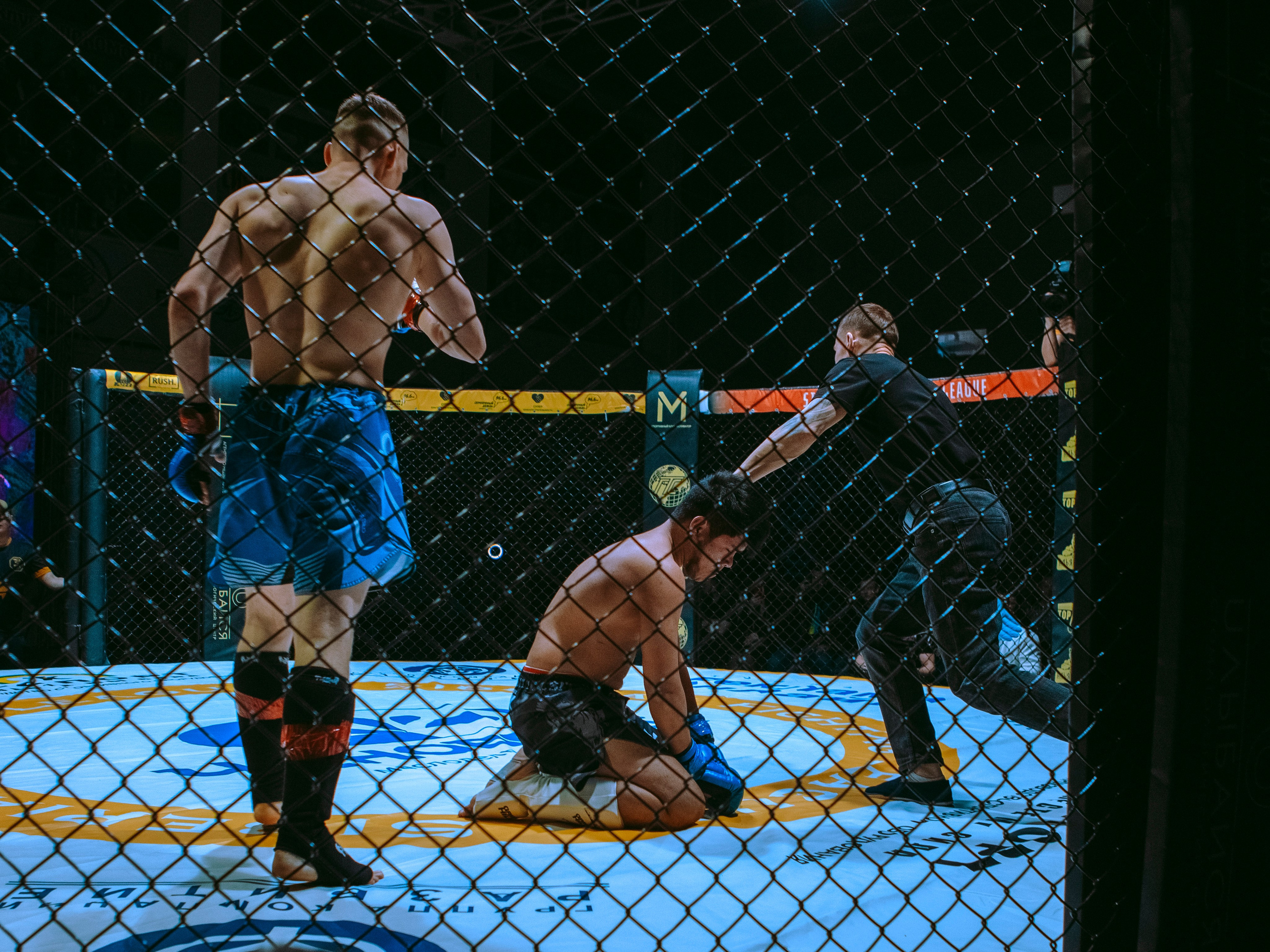 SFL 17 | Siberian Fighting League. Портретный фотограф в Москве Дарья Цезария