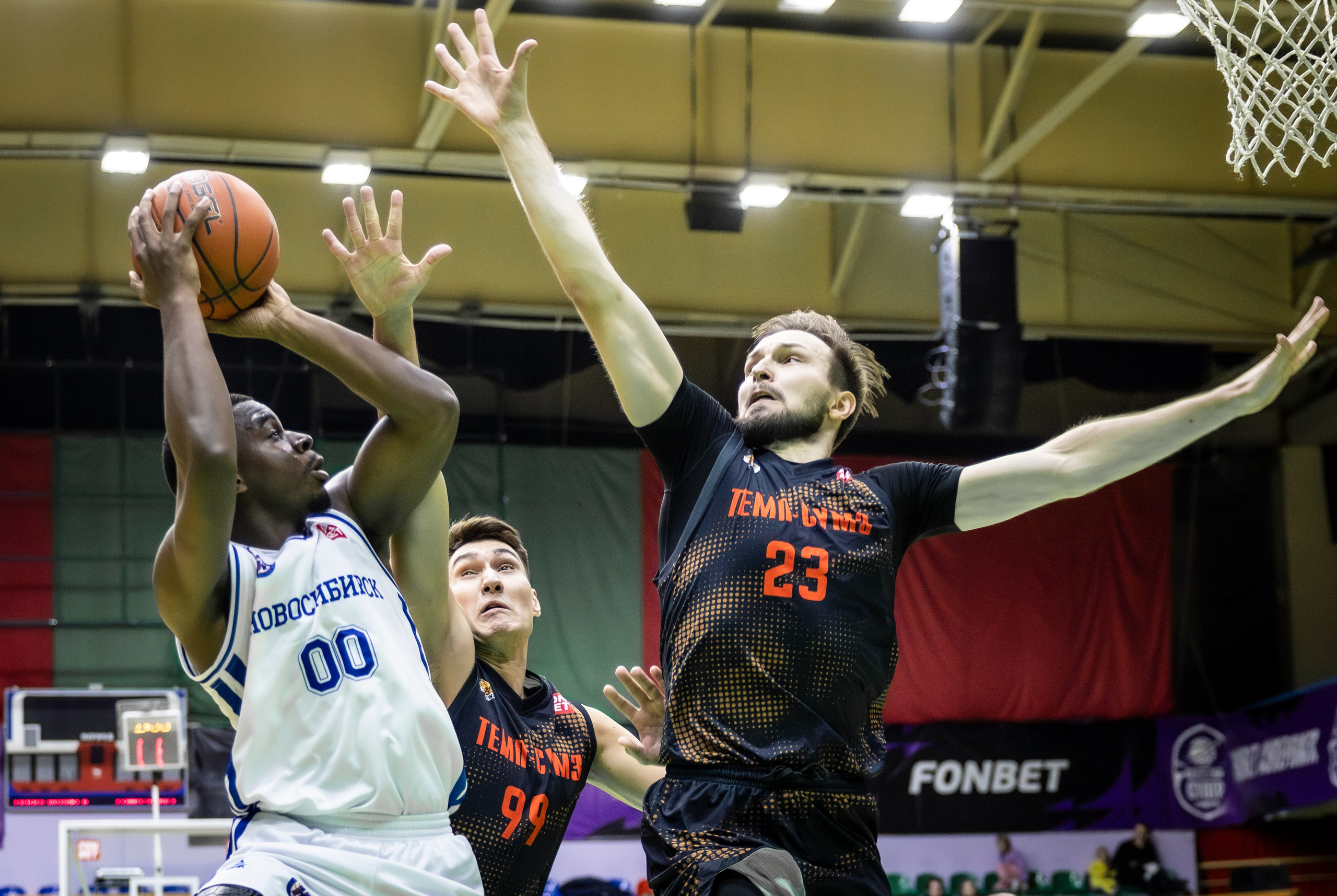 БК Новосибирск. Bertran Ordo