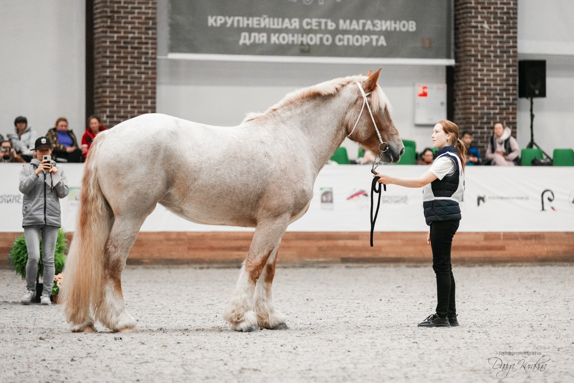8-я международная выставка Конная Россия. Конный фотограф Куракина Дарья • Фотосессии с лошадьми