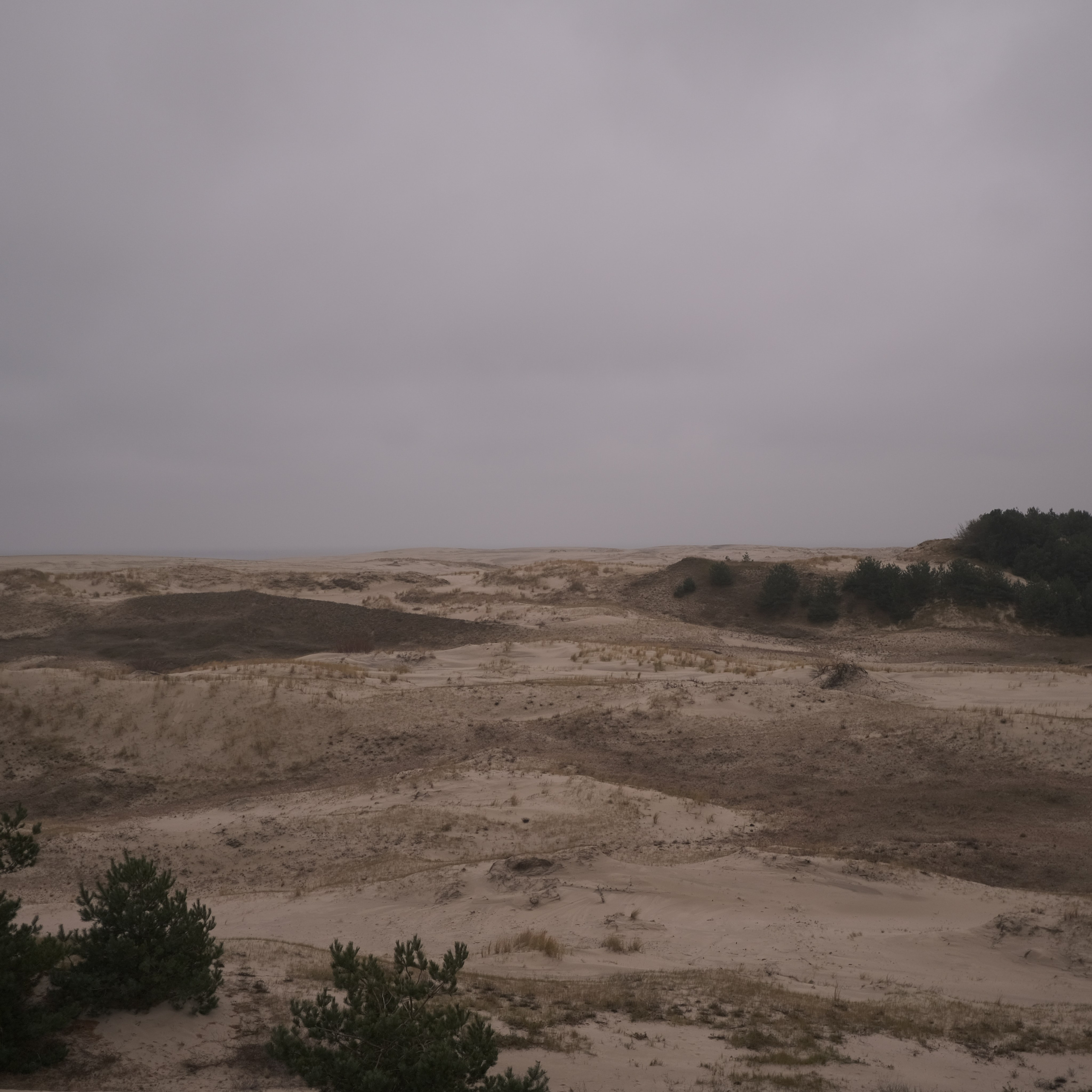 Калининград. LIYALEE PHOTO