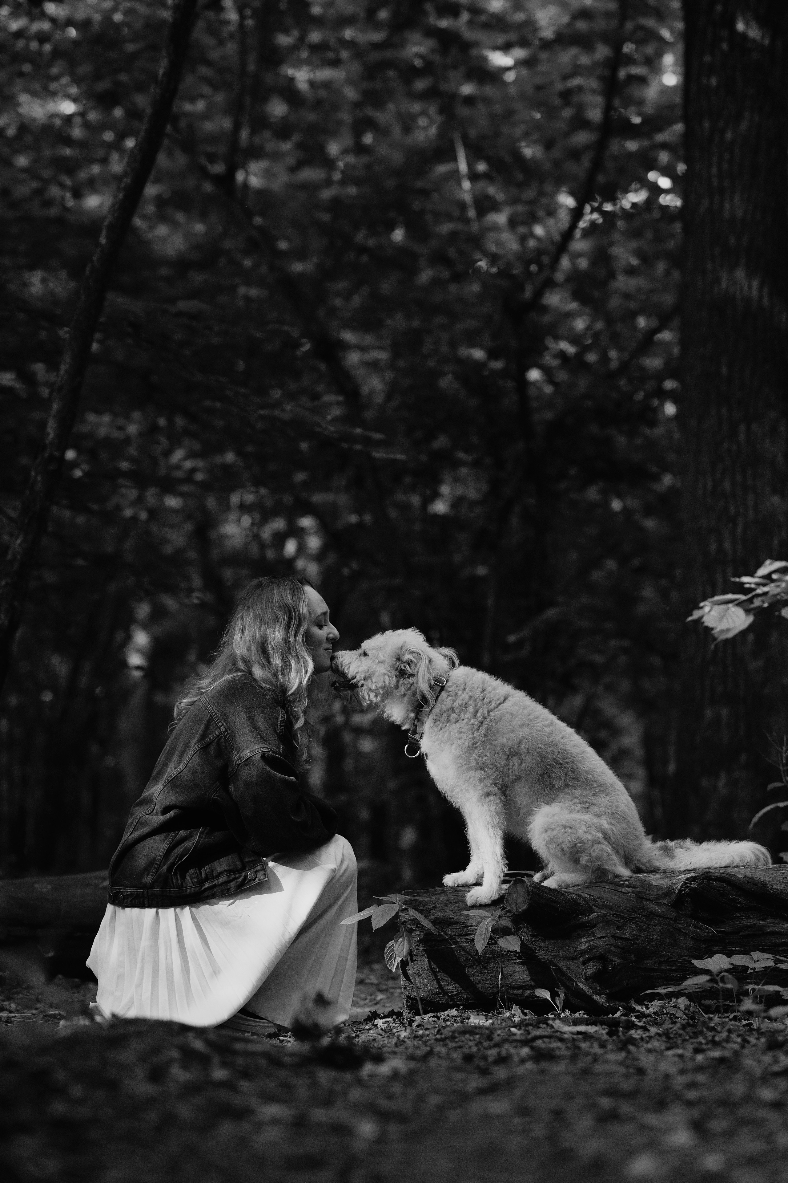 Акиро и Йоши. Фотограф- анималист Александра Матвеева