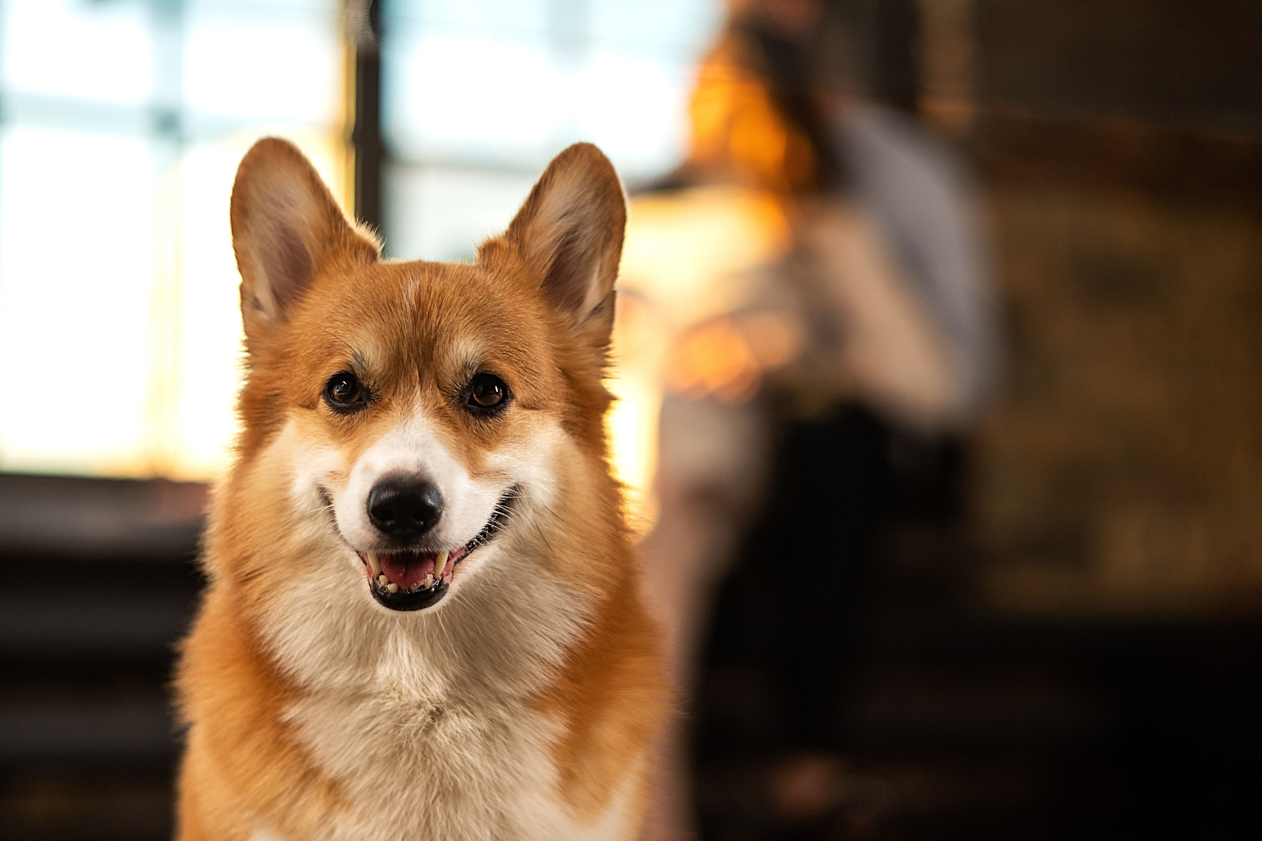 Андрей, Саша и все-все-все