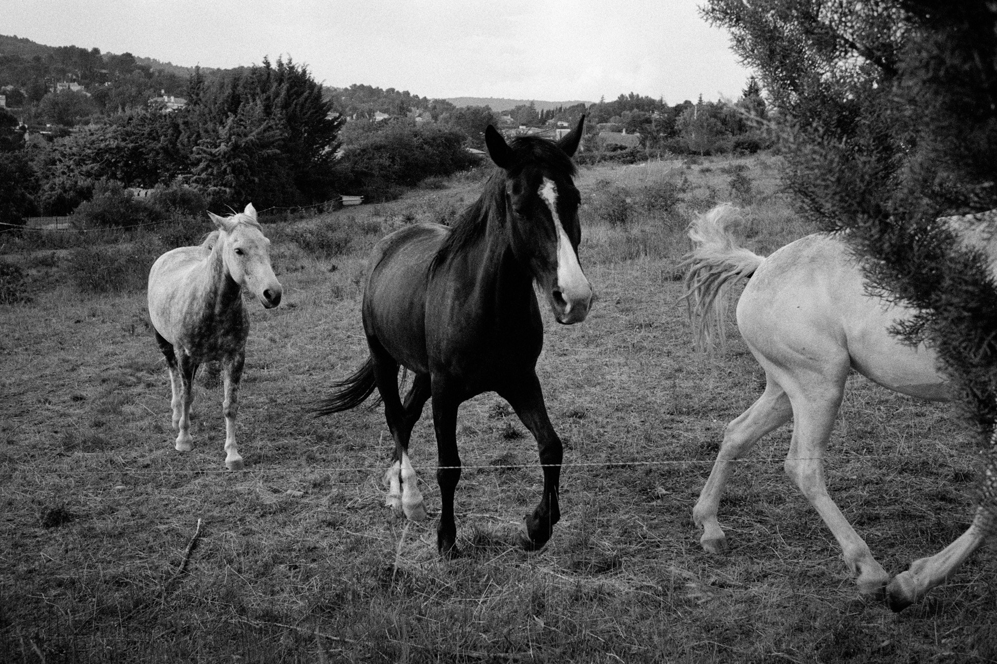 Memories of France. Документальный фотограф Алексей Мякишев, Москва