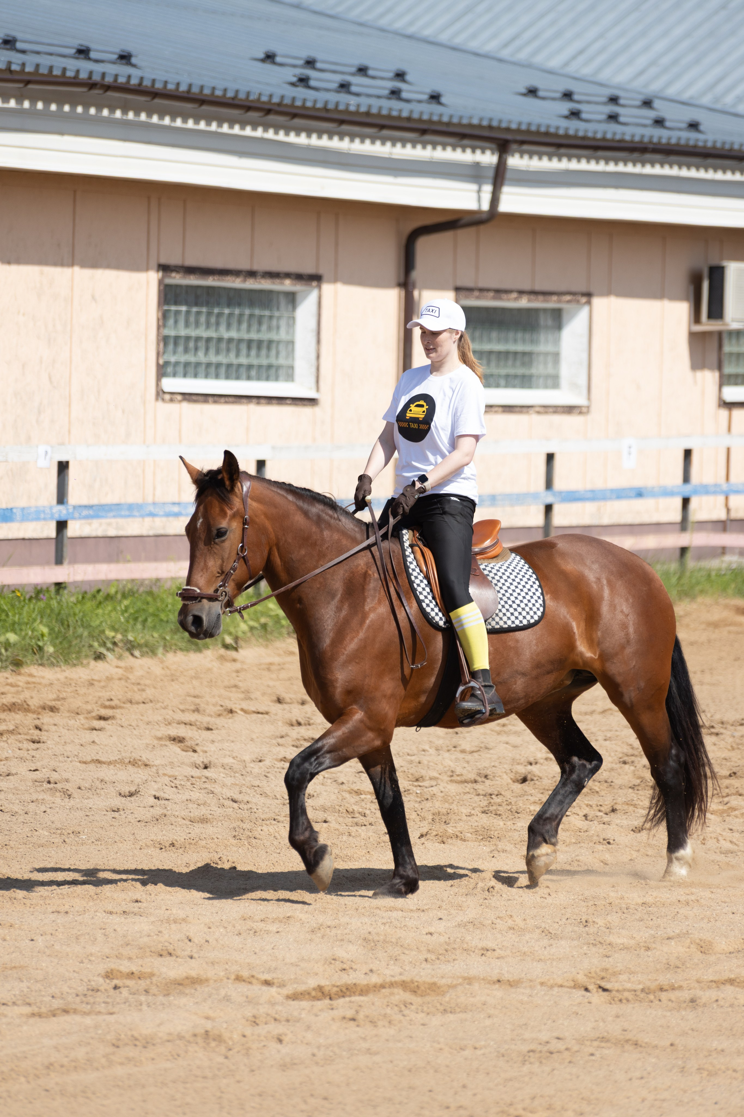 Конюшня. Фотограф в Москве и Истре