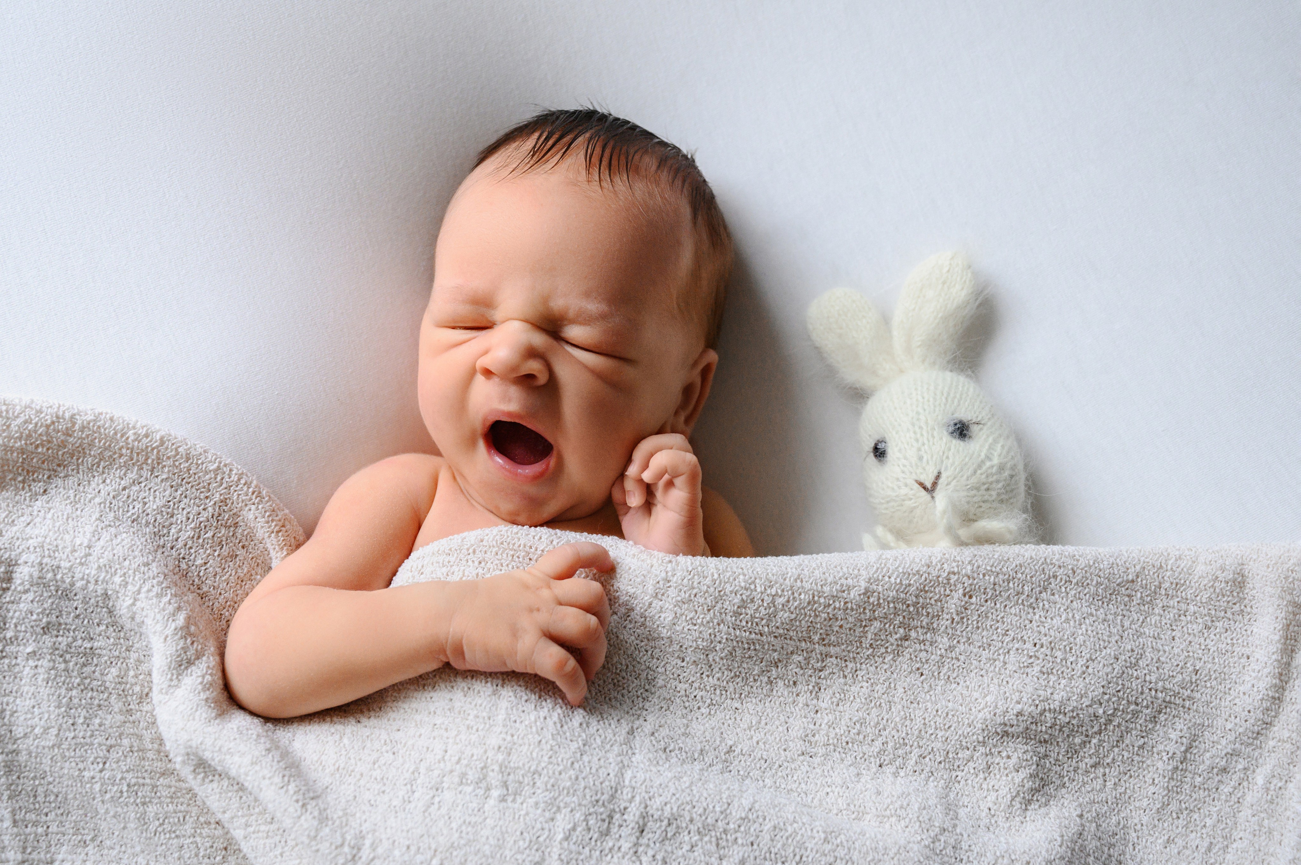 Newborn boy. Фотограф новорожденных малышей в Санкт-Петербурге