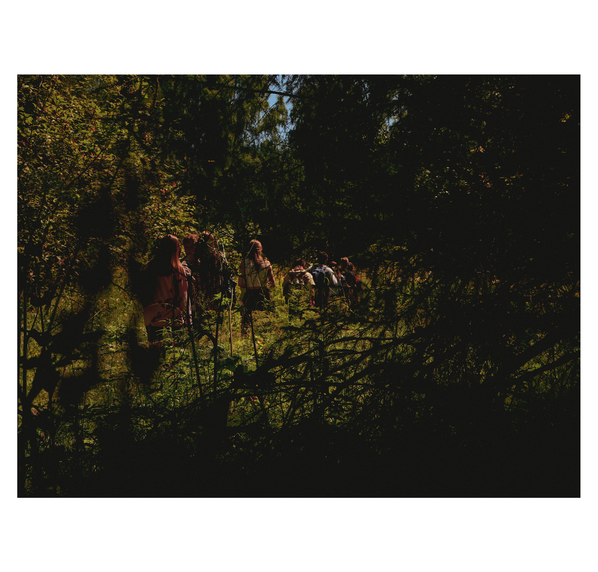 Summer hike. Фотограф/дизайнер в Екатеринбурге Хитрый Дмитрий