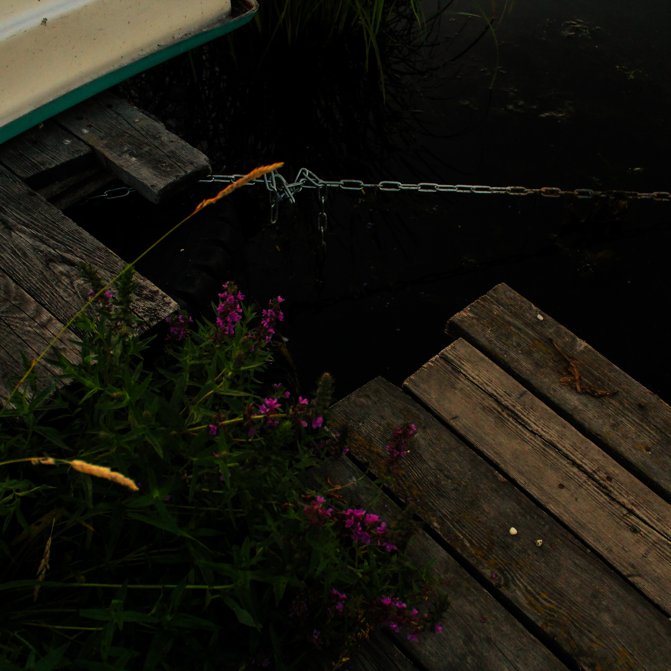 Summertime. Фотограф/дизайнер в Екатеринбурге Хитрый Дмитрий
