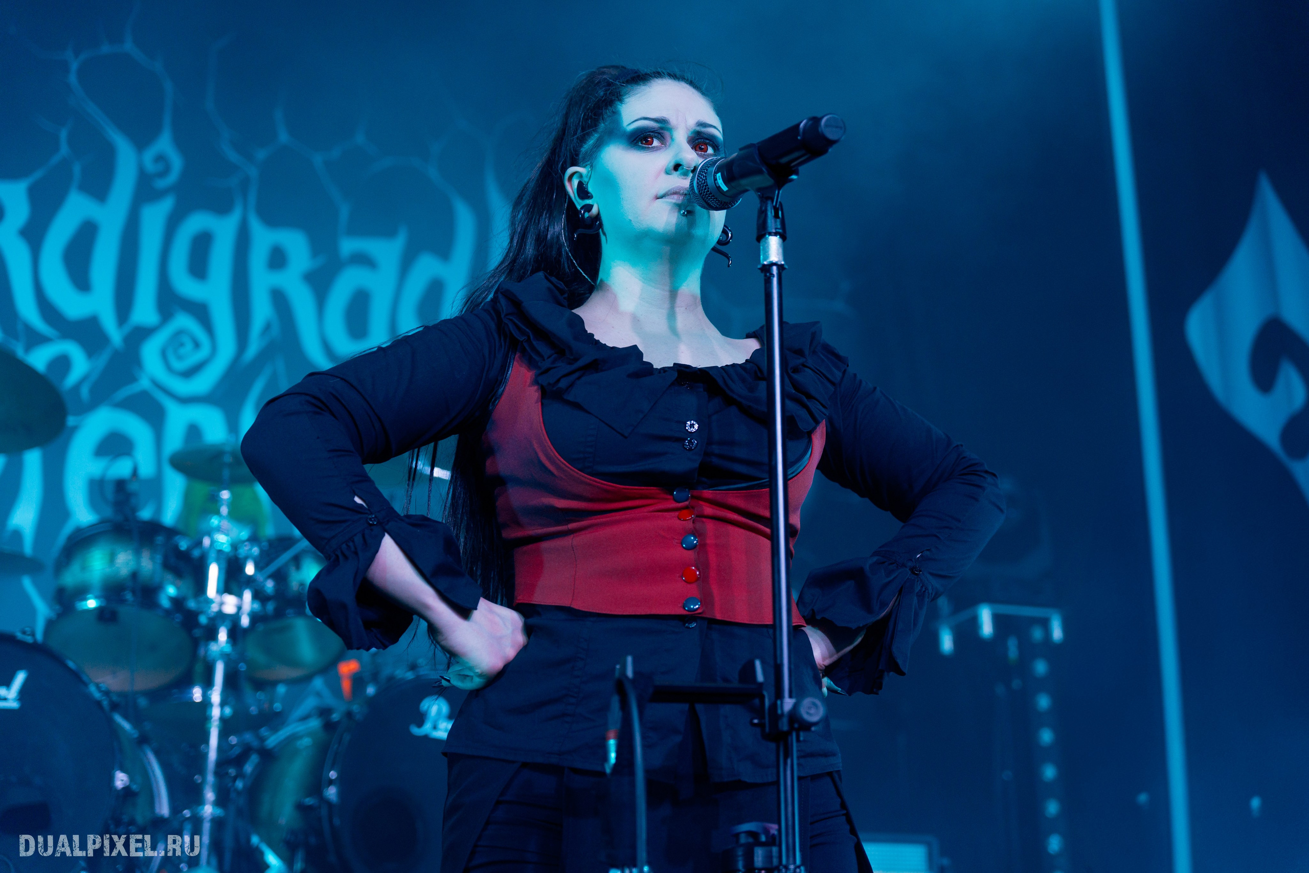 TARDIGRADE INFERNO. Магия музыки в кадре: Концертная Фотография