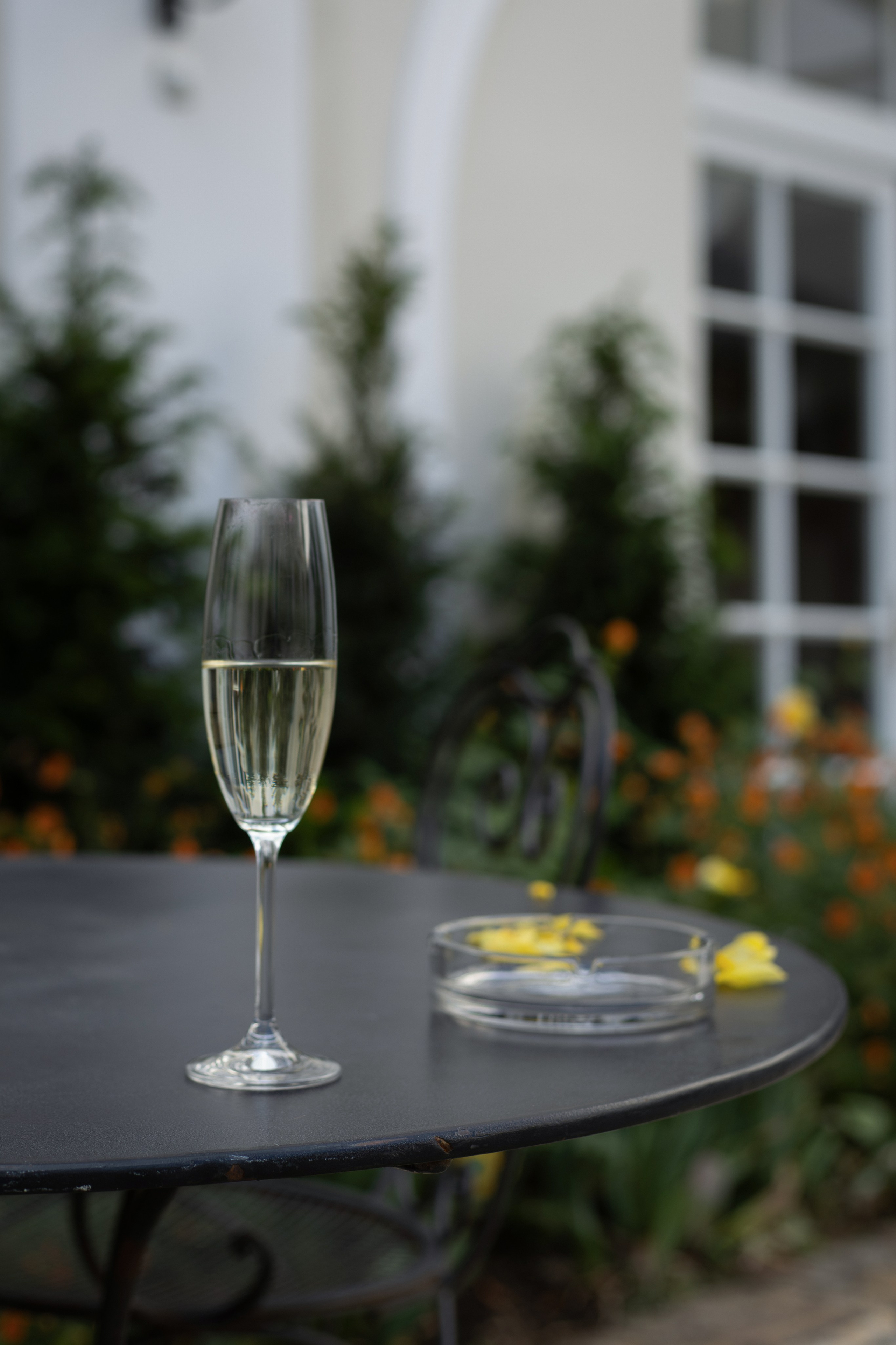 Lecture “Love in Philosophy”. Magic photos