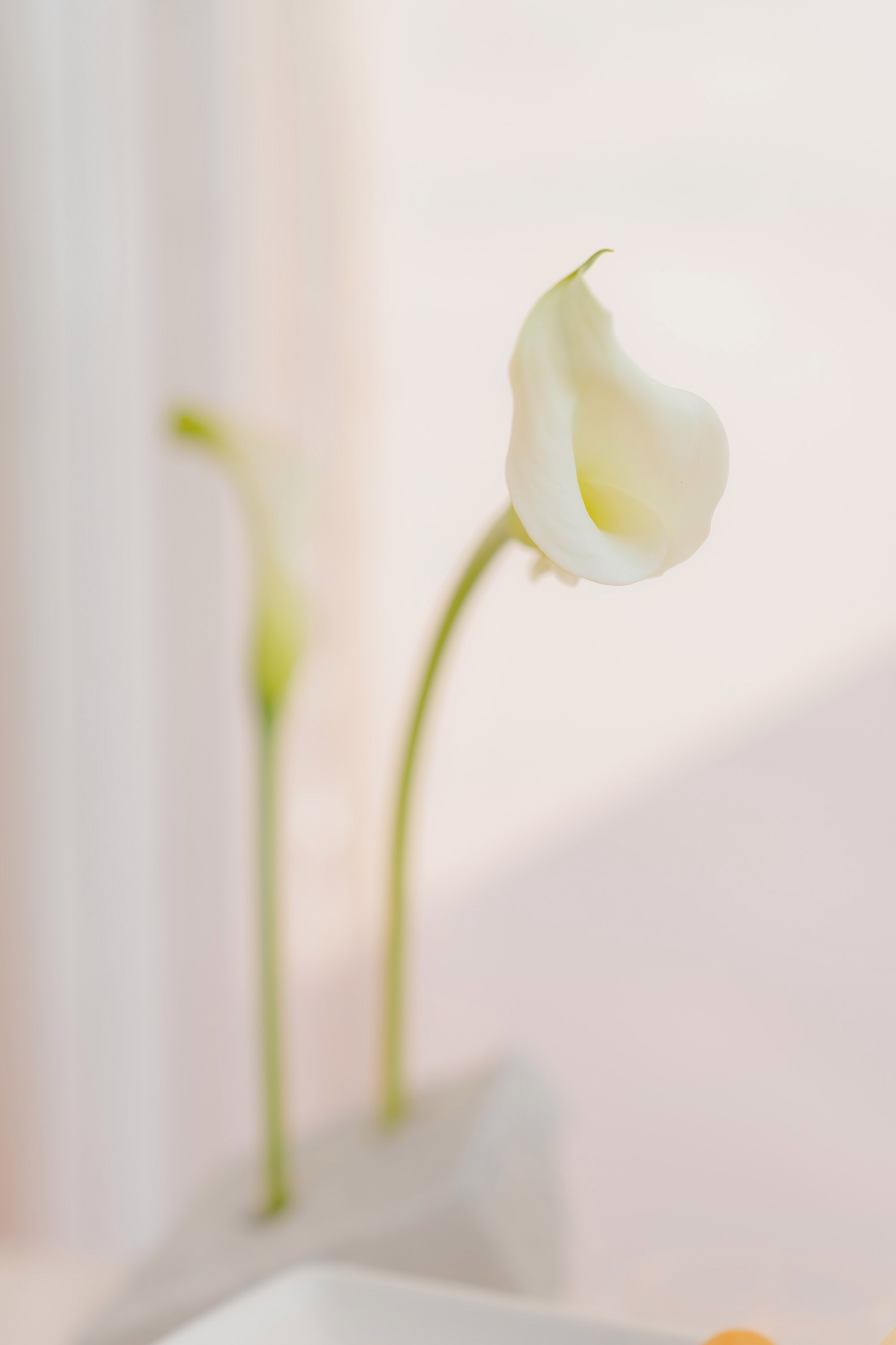 AURIX | THE ART OF QUIET BOHEMIA. Андрей Цветков — репортажный, свадебный и портретный фотограф в Санкт-Петербурге