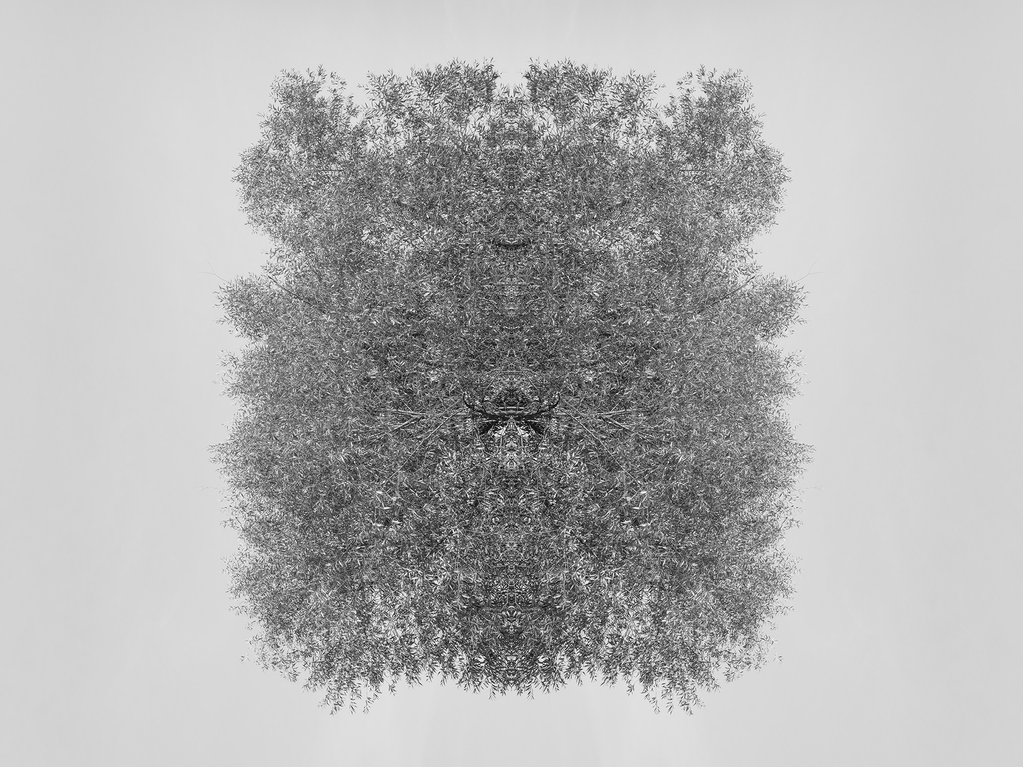 Острова. Анна Порошина — междисциплинарный художник