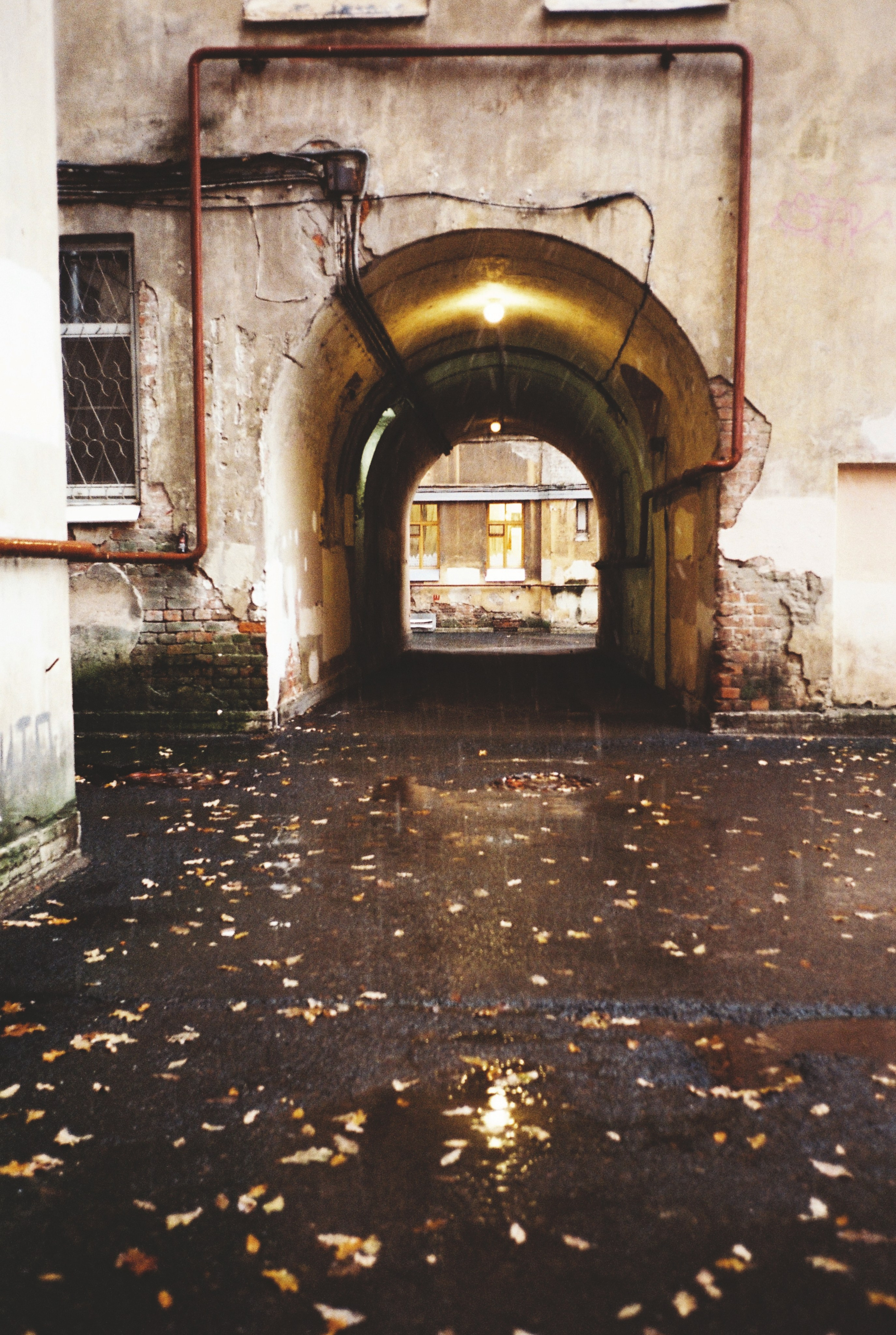 Фотографии цветные. Свадебный и семейный пленочный фотограф в Петербурге Истомина Ирина