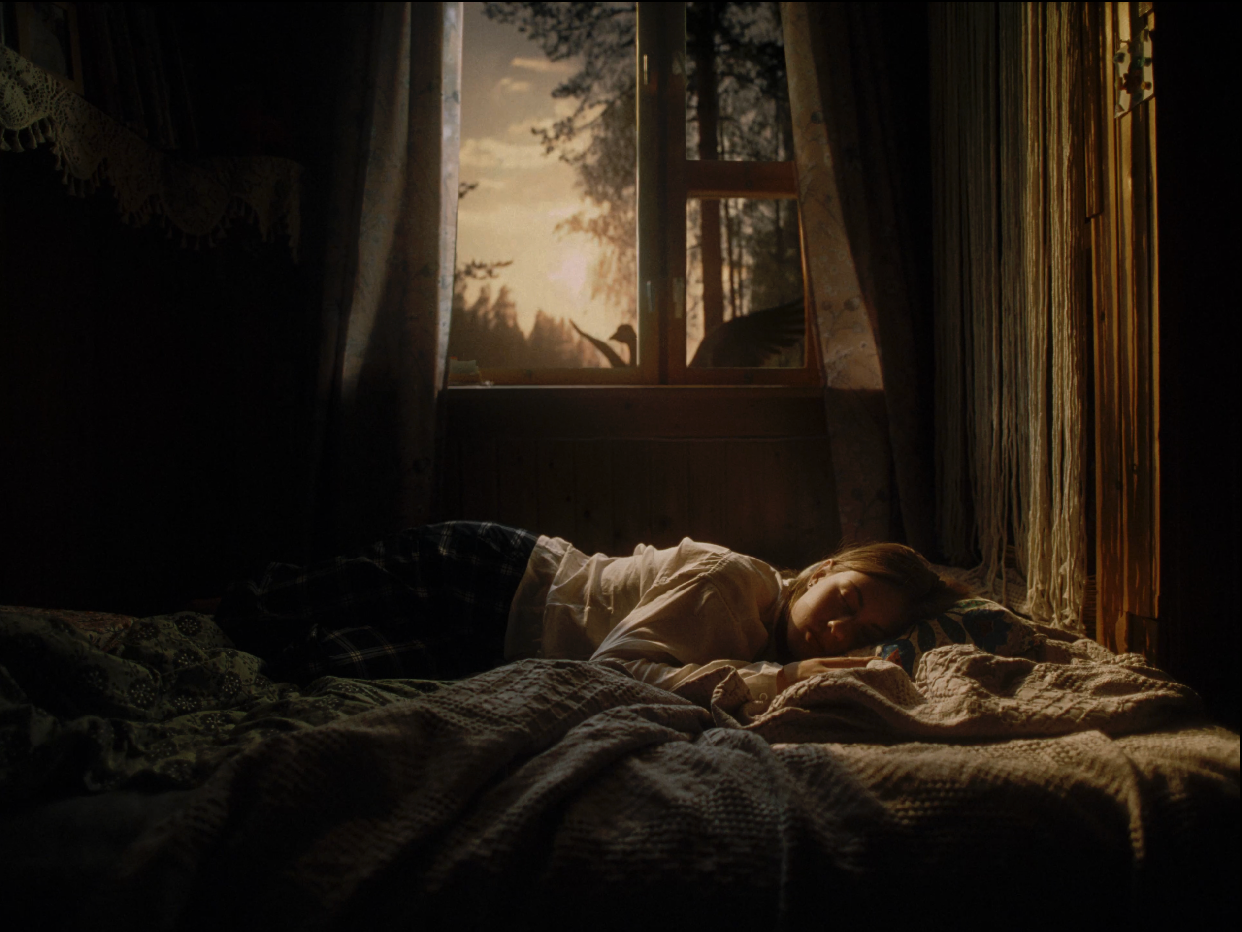 2025 Комонь х INDEX III. Дарья Каширина