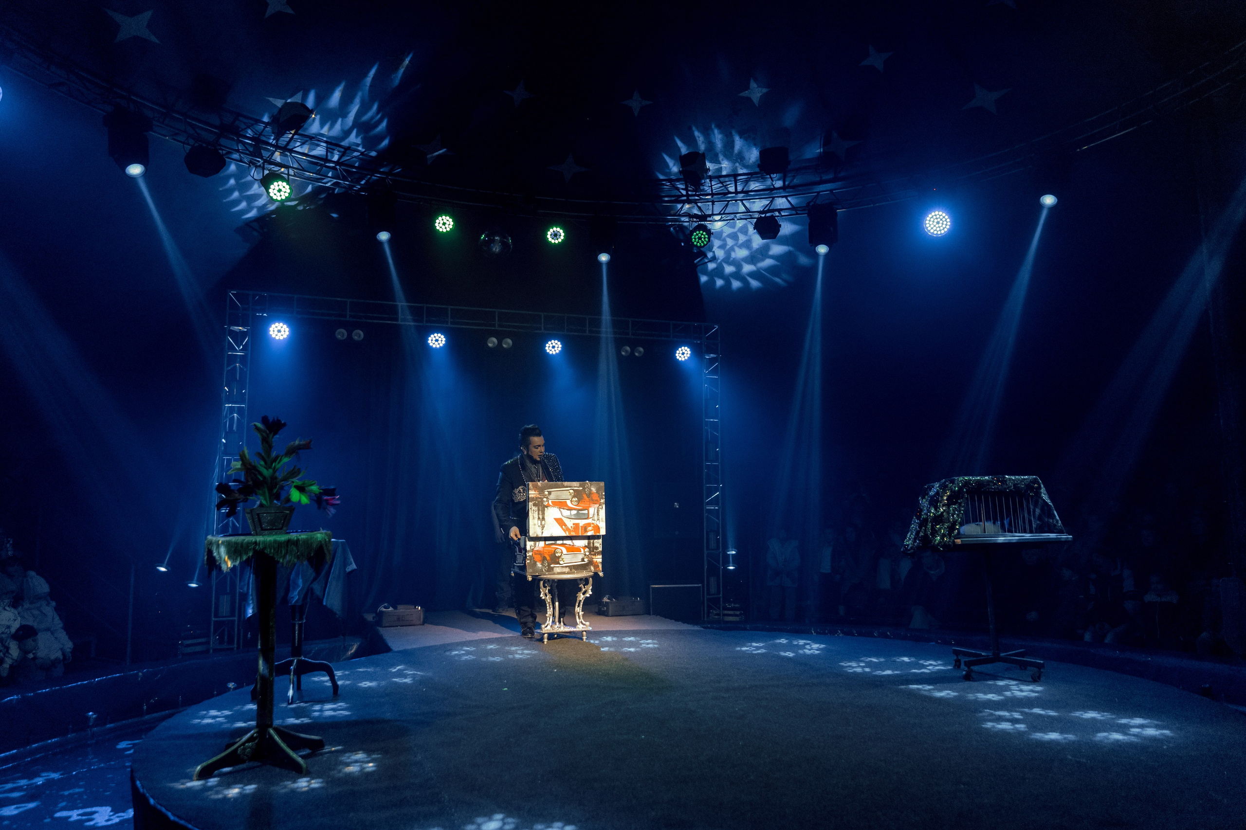 Цирк на воде. Свадебный фотограф Иркутск, репортажный фотограф Иркутск