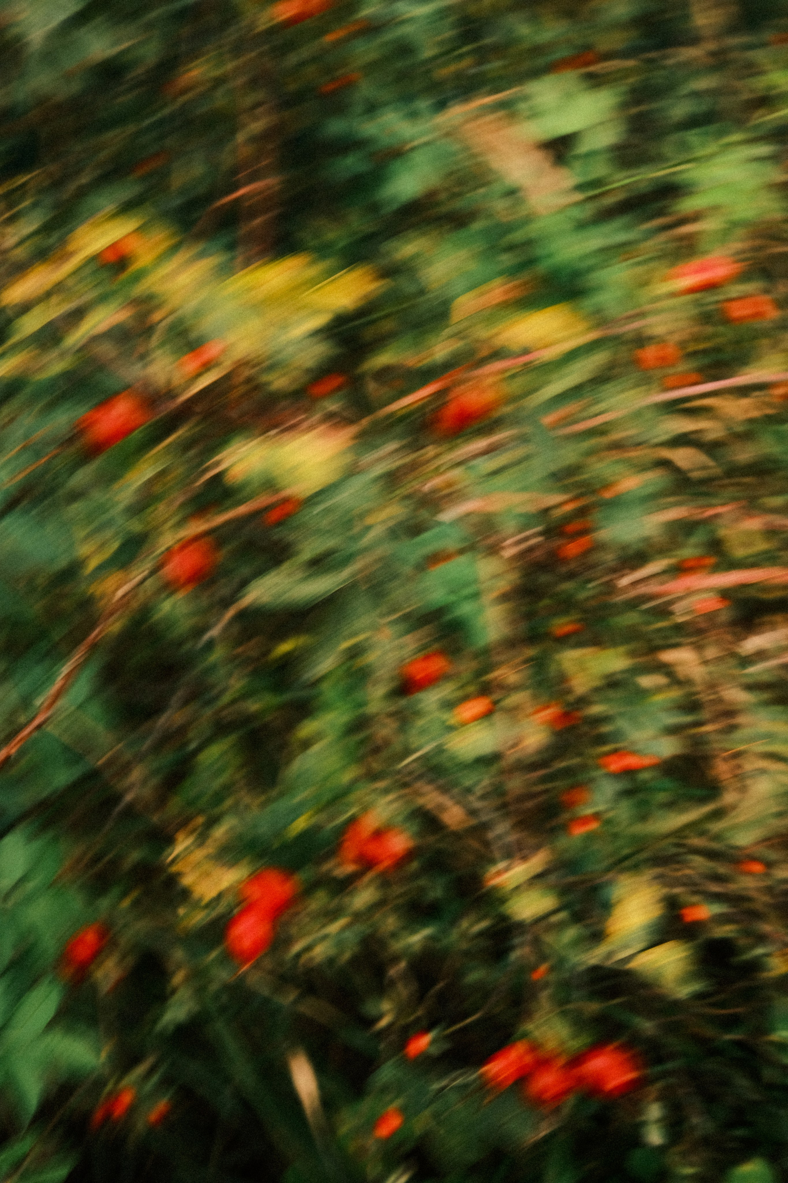 Невесомость. Портретный фотограф