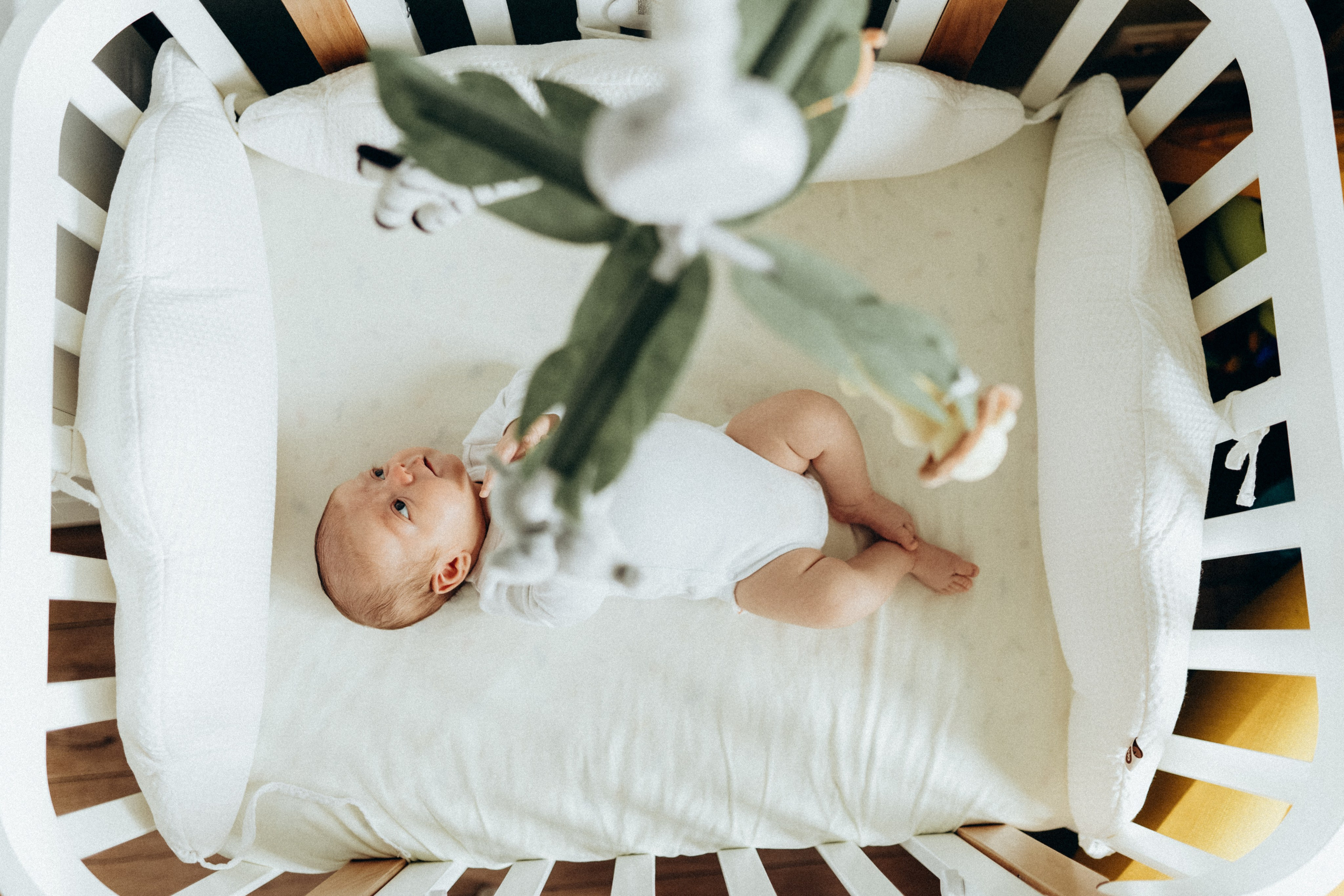 Малыш Федор. Фотограф новорожденных малышей Одинцово/Москва Юлия Скок