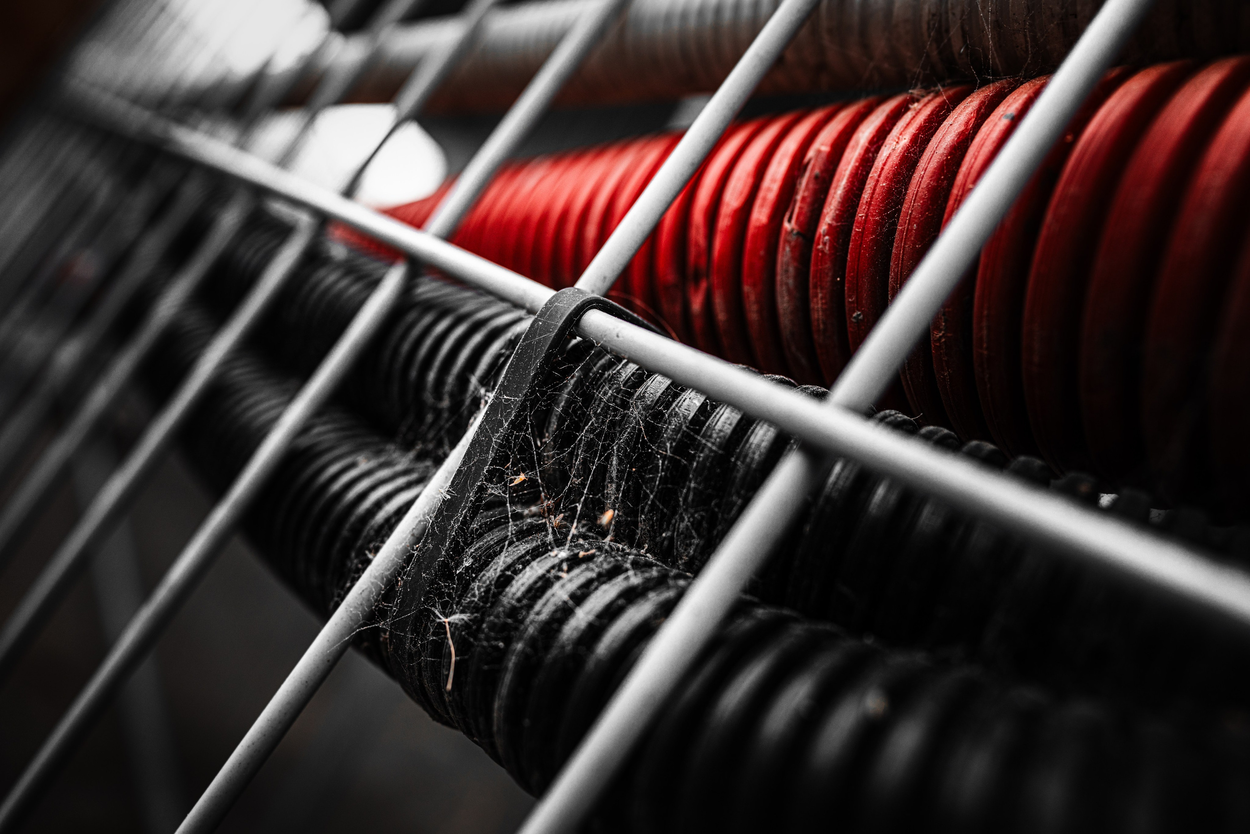 Street. Фотограф в Санкт-Петербурге Шевцов Андрей