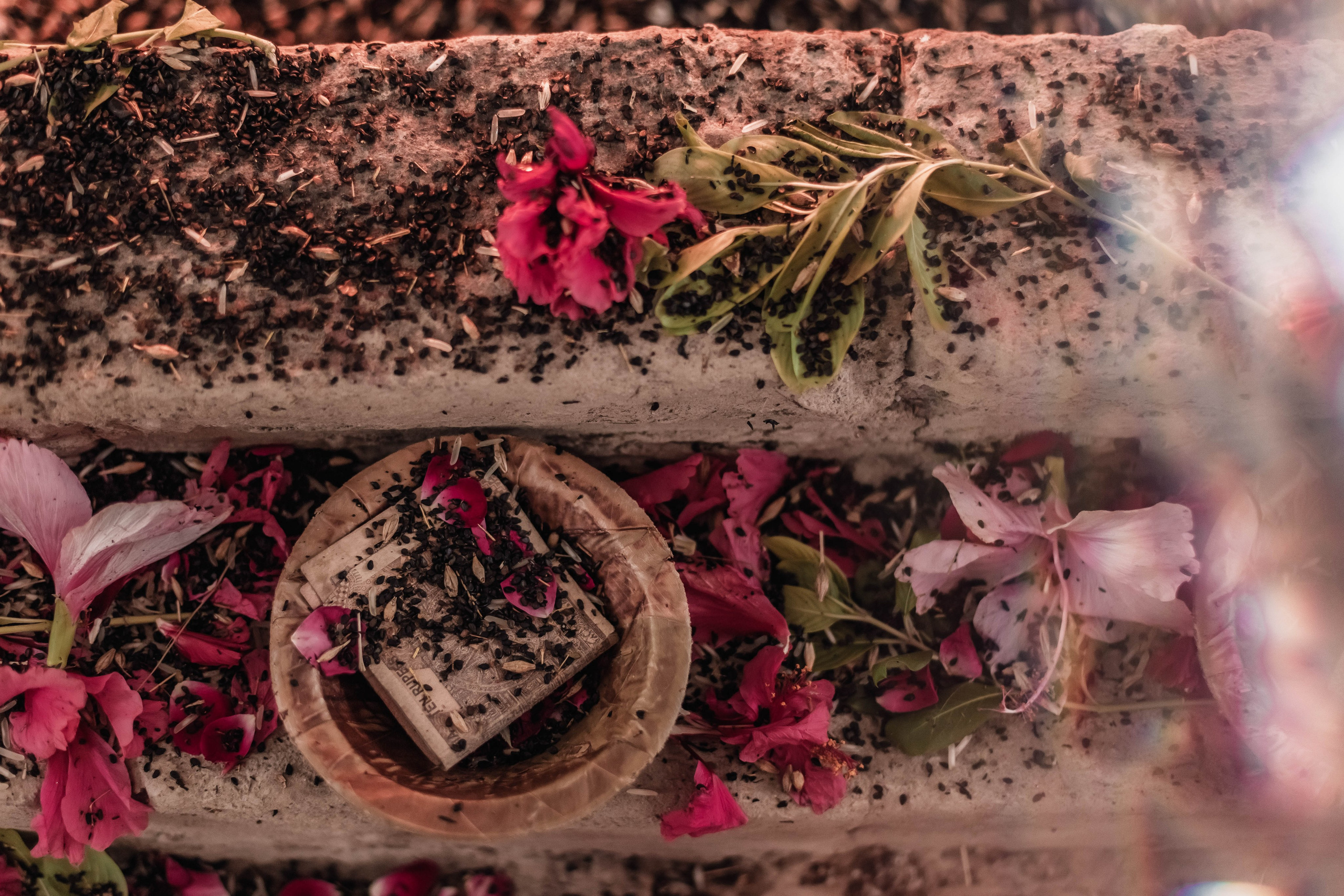 Pitri Paksha yagyas & poojas Devraha Baba ji ashram. Mariam Bagdasaryan