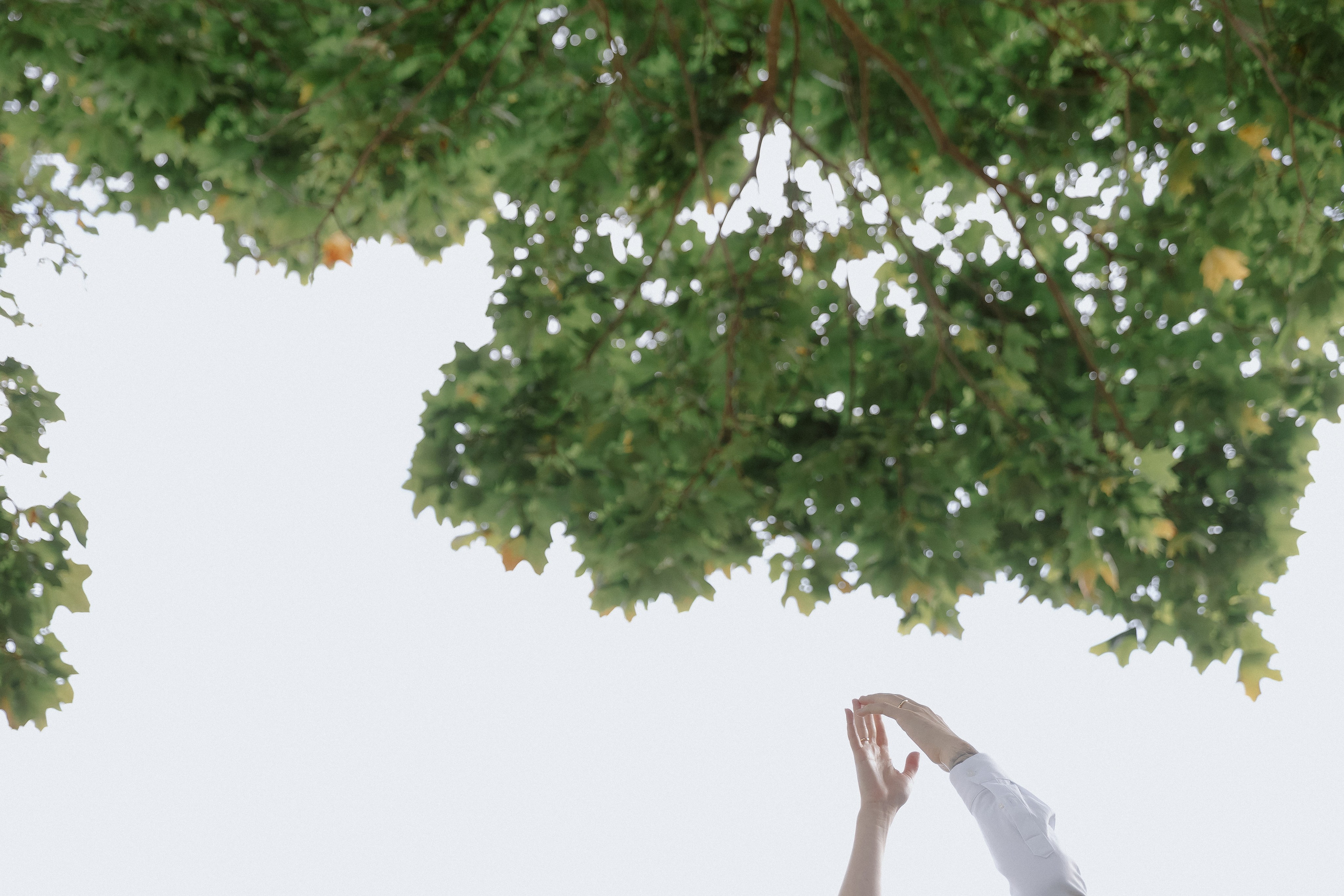 Эрнест & Ангелина. Свадебный фотограф Колесников Антон