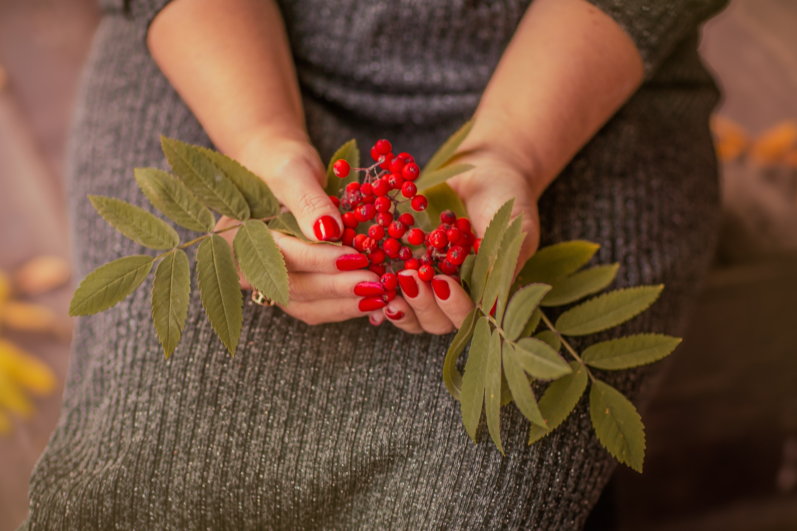 Багрец и золото. Фотограф Елена Вишневская (Ушакова) Нефтеюганск, Сургут, Тюмень
