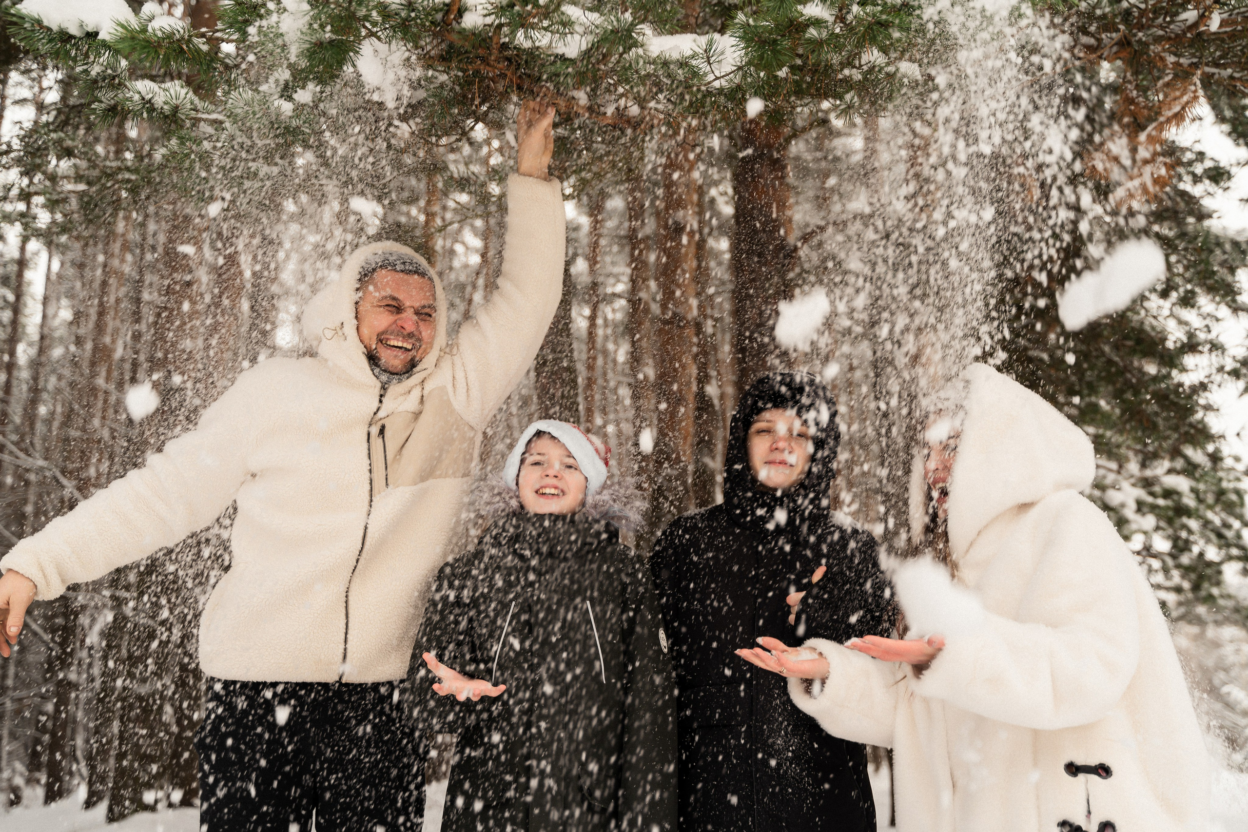 Зимний лес. Фотограф Алина Филимонова Тверь