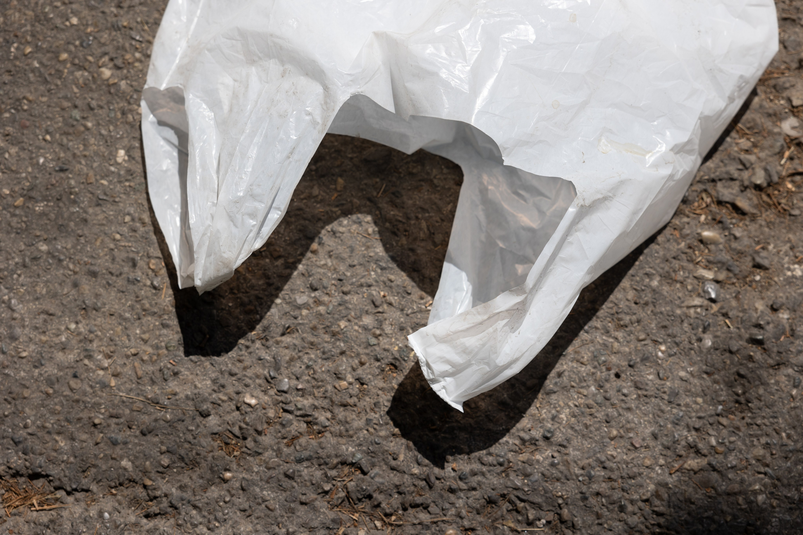 Art prints. Фотограф алина стерхова, алина стерхова фотограф, фотограф москва