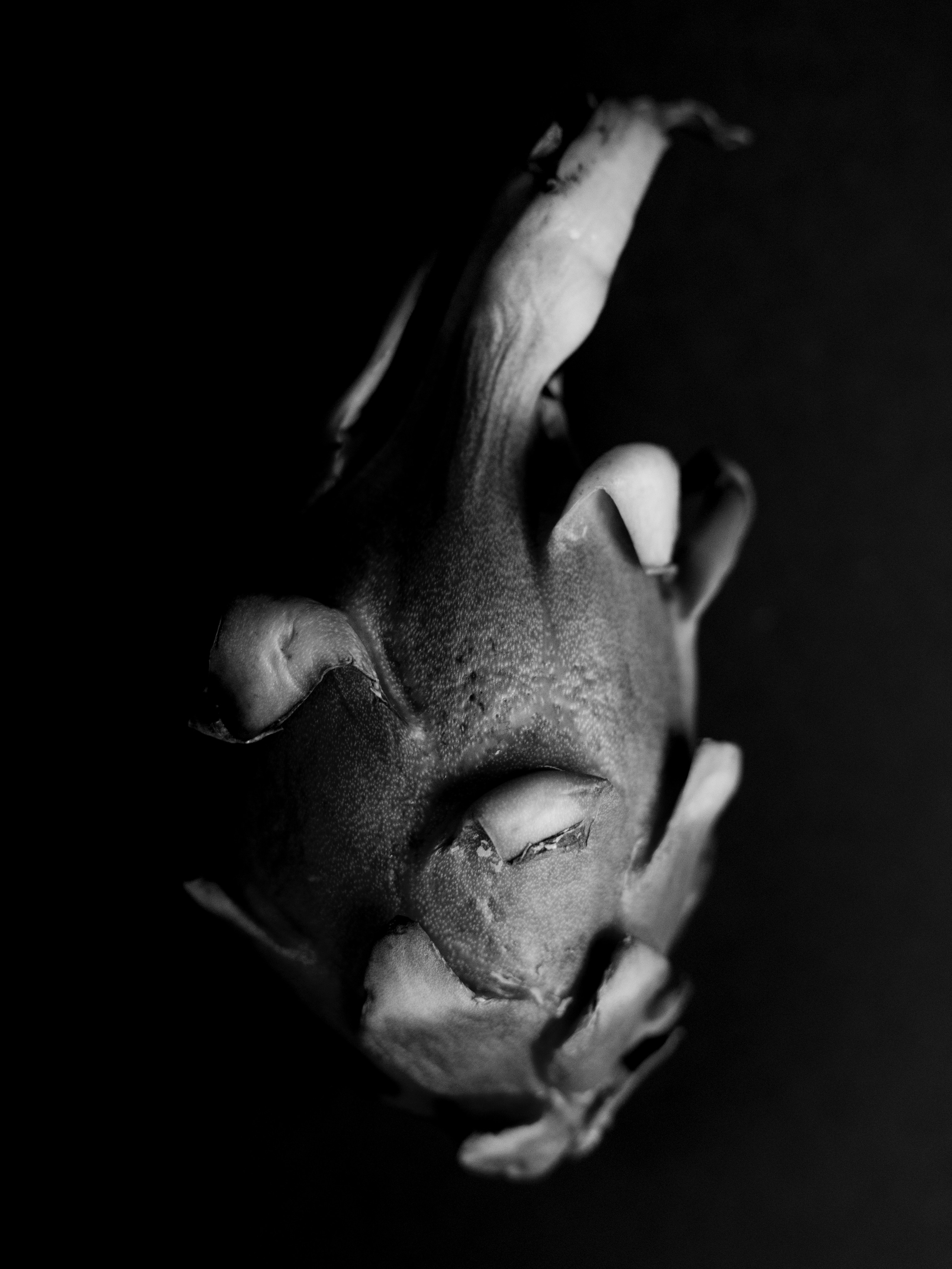 Art prints. Фотограф алина стерхова, алина стерхова фотограф, фотограф москва