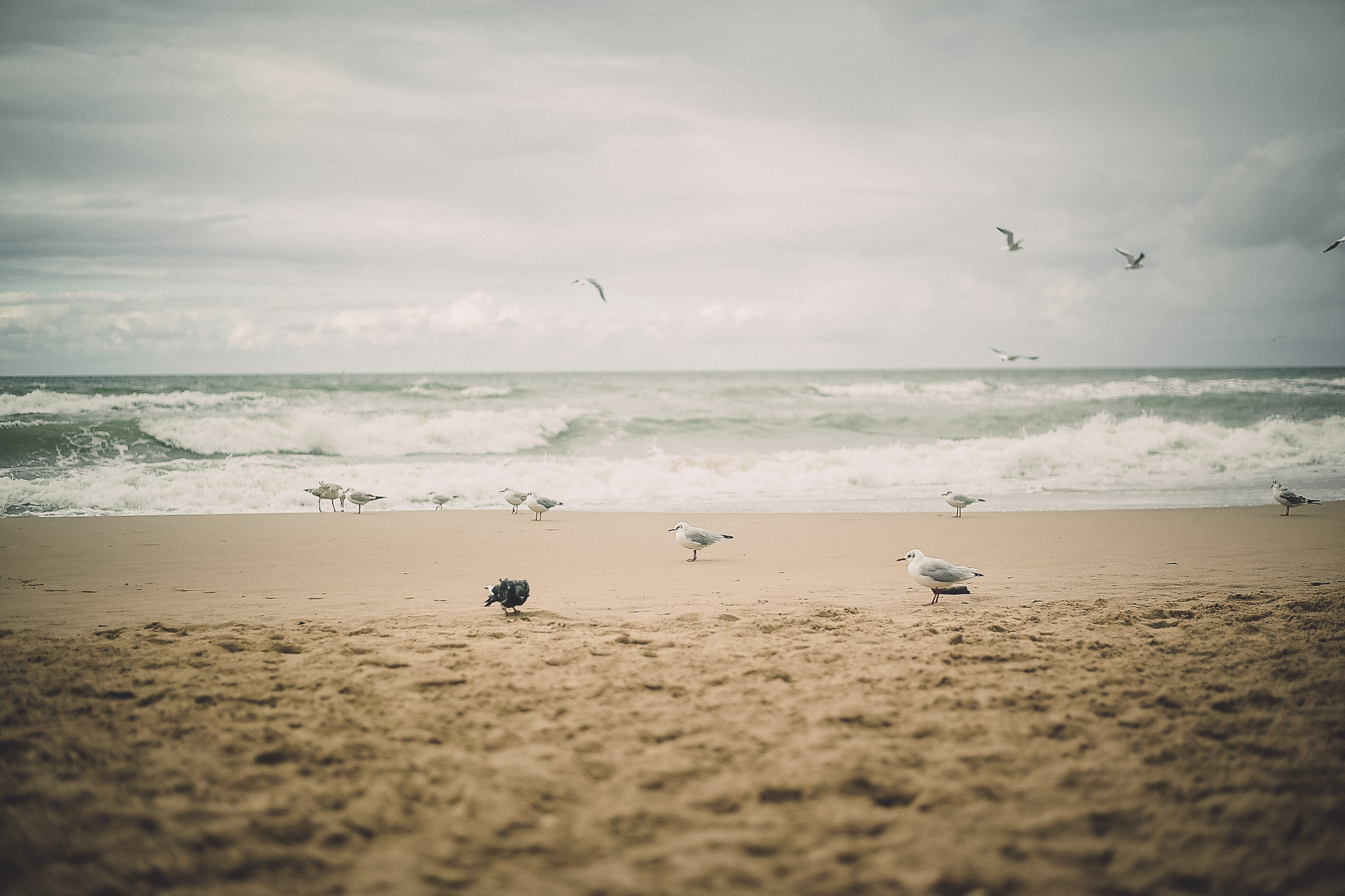 Прогулка. Элька Мурзина