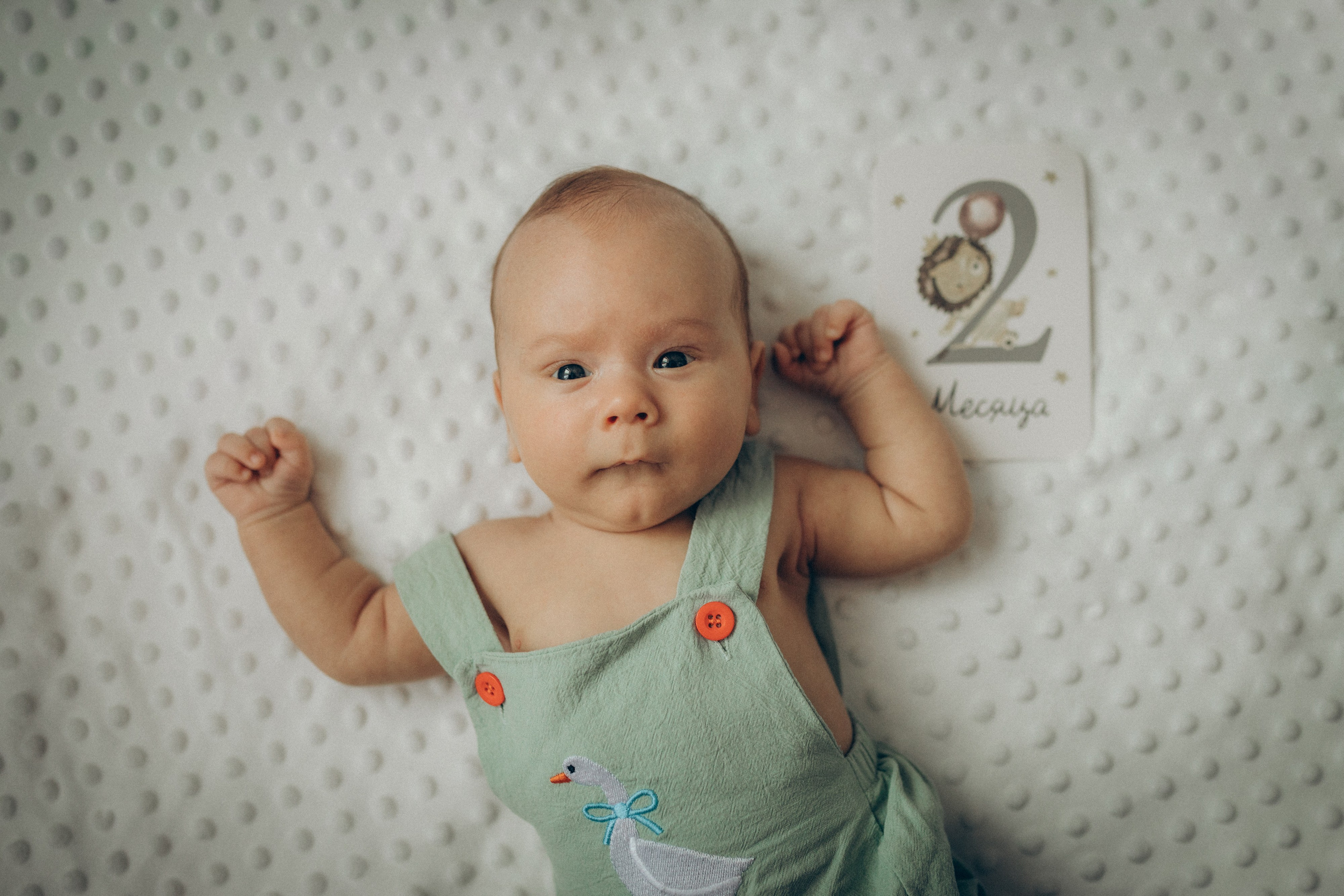 Аня, Кирилл и Ярослав. Семейный фотограф и фотограф на роды в Ростове-на-Дону Мухина Виктория