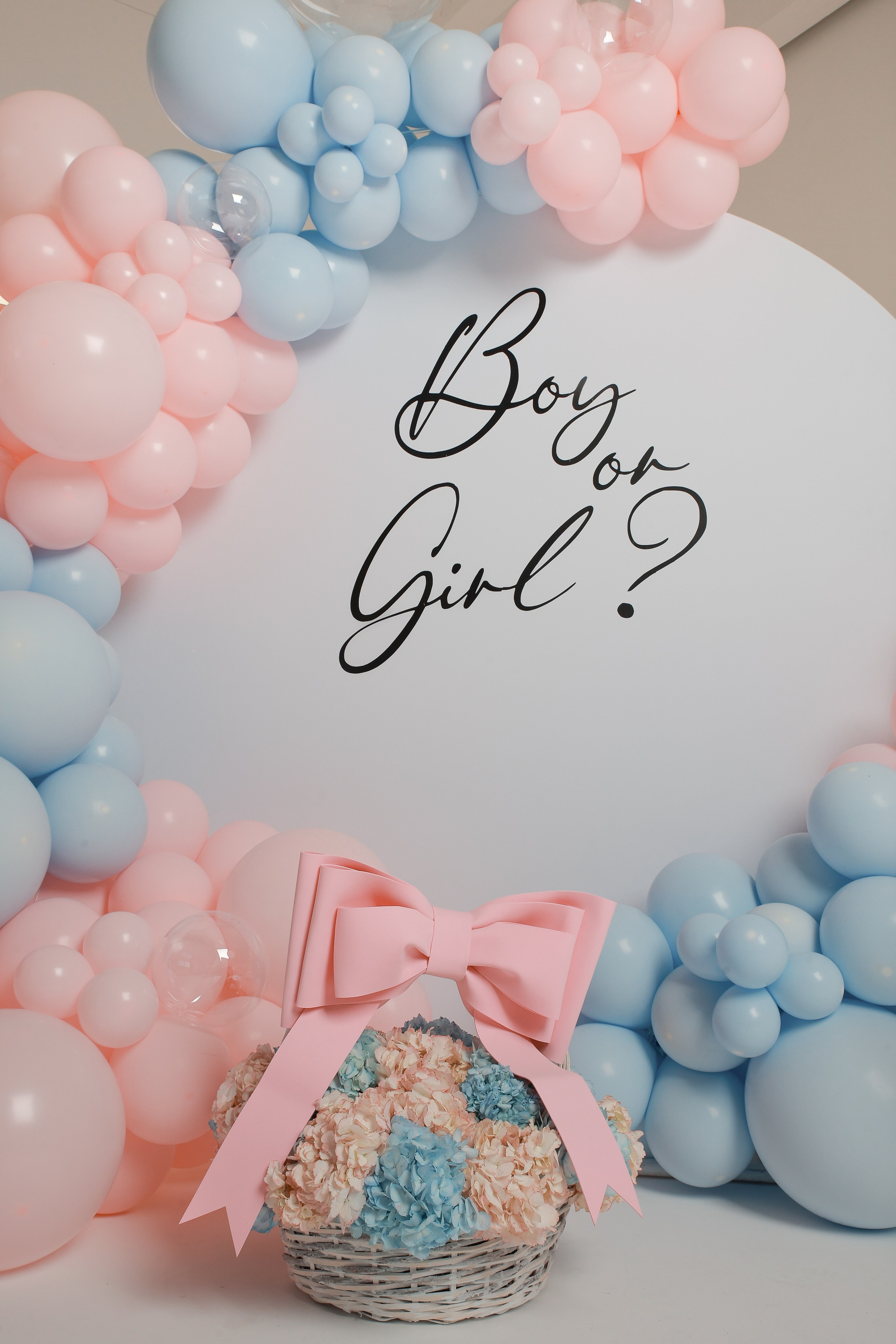 Портфолио. Организация Gender Party под ключ. Москва и МО