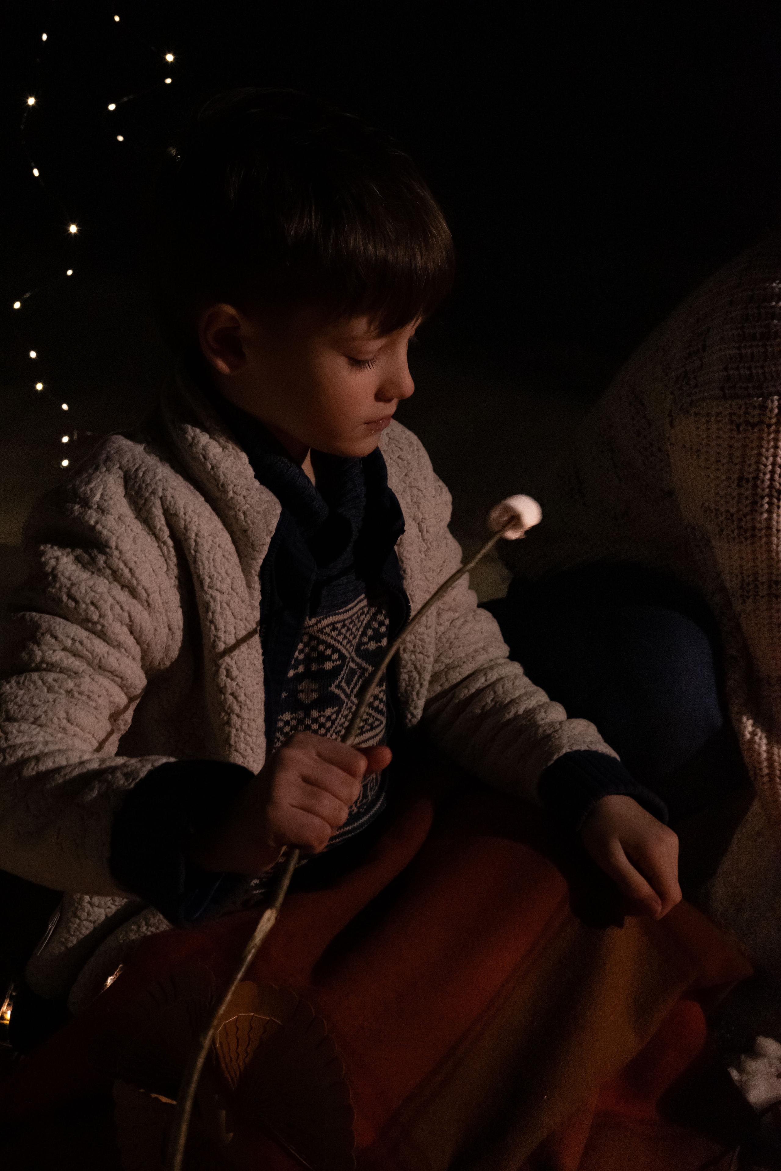 Зимний вече в лесу. Сказочный фотограф для Вас и Вашей семьи